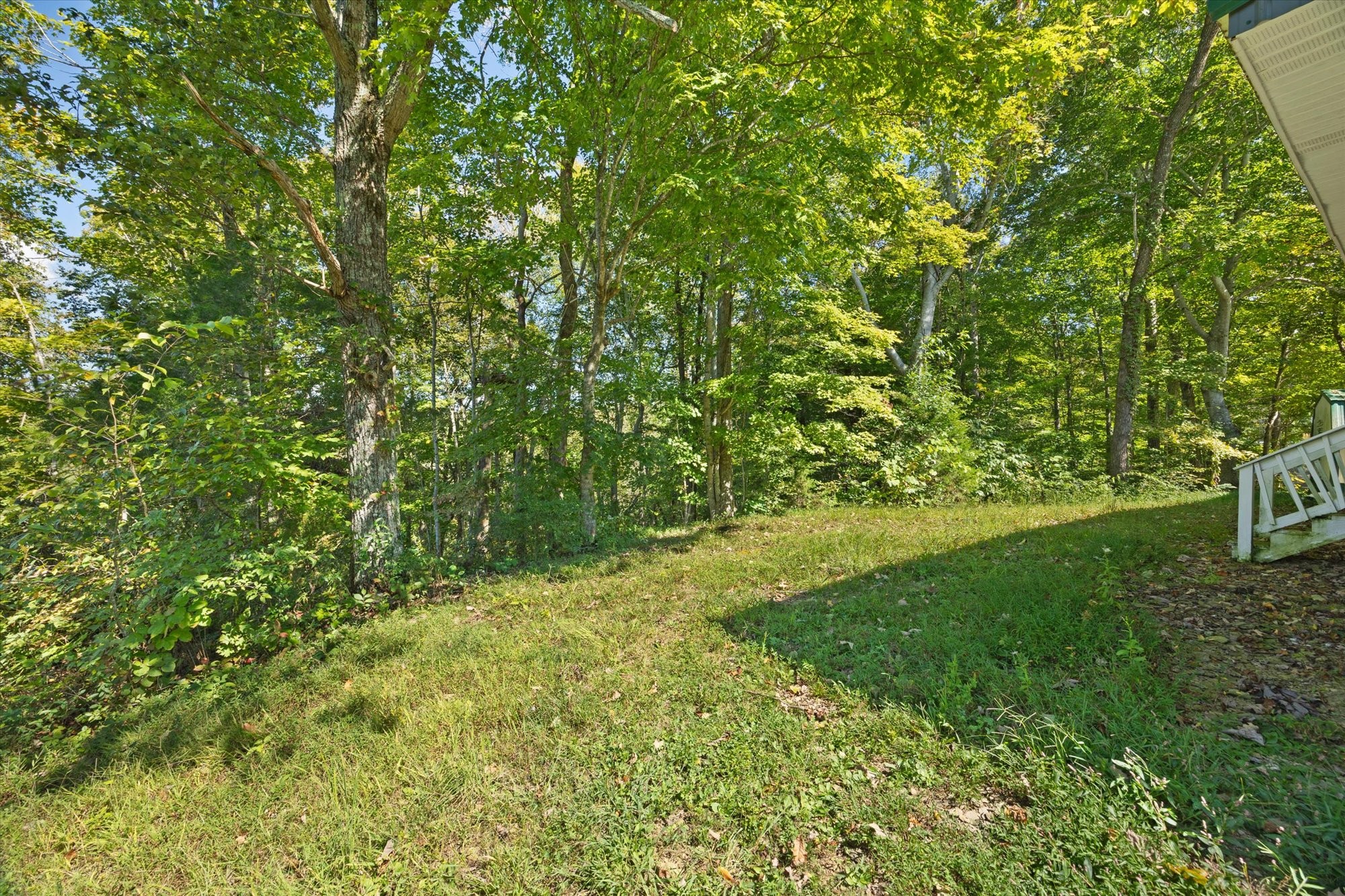 428 James White Rd