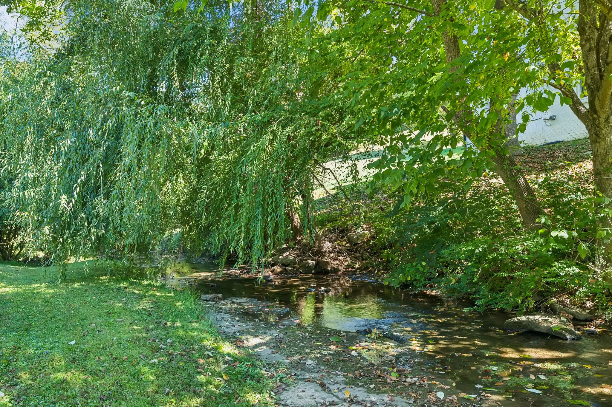 1329 Chestnut