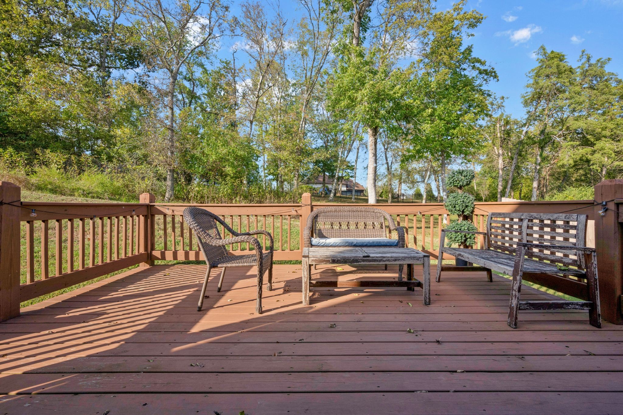 229 Crooked Creek Ln