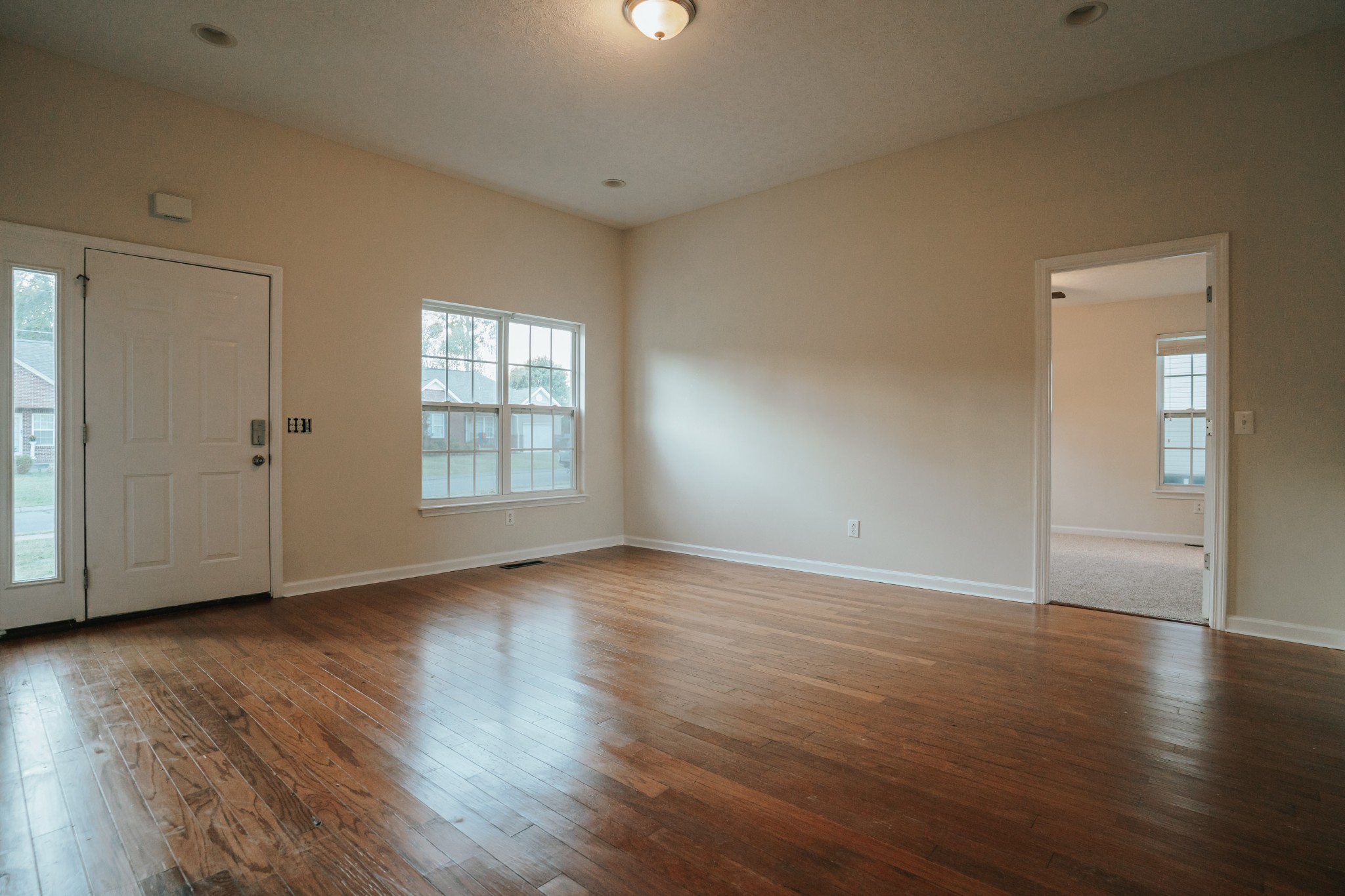 131 Filly Ln