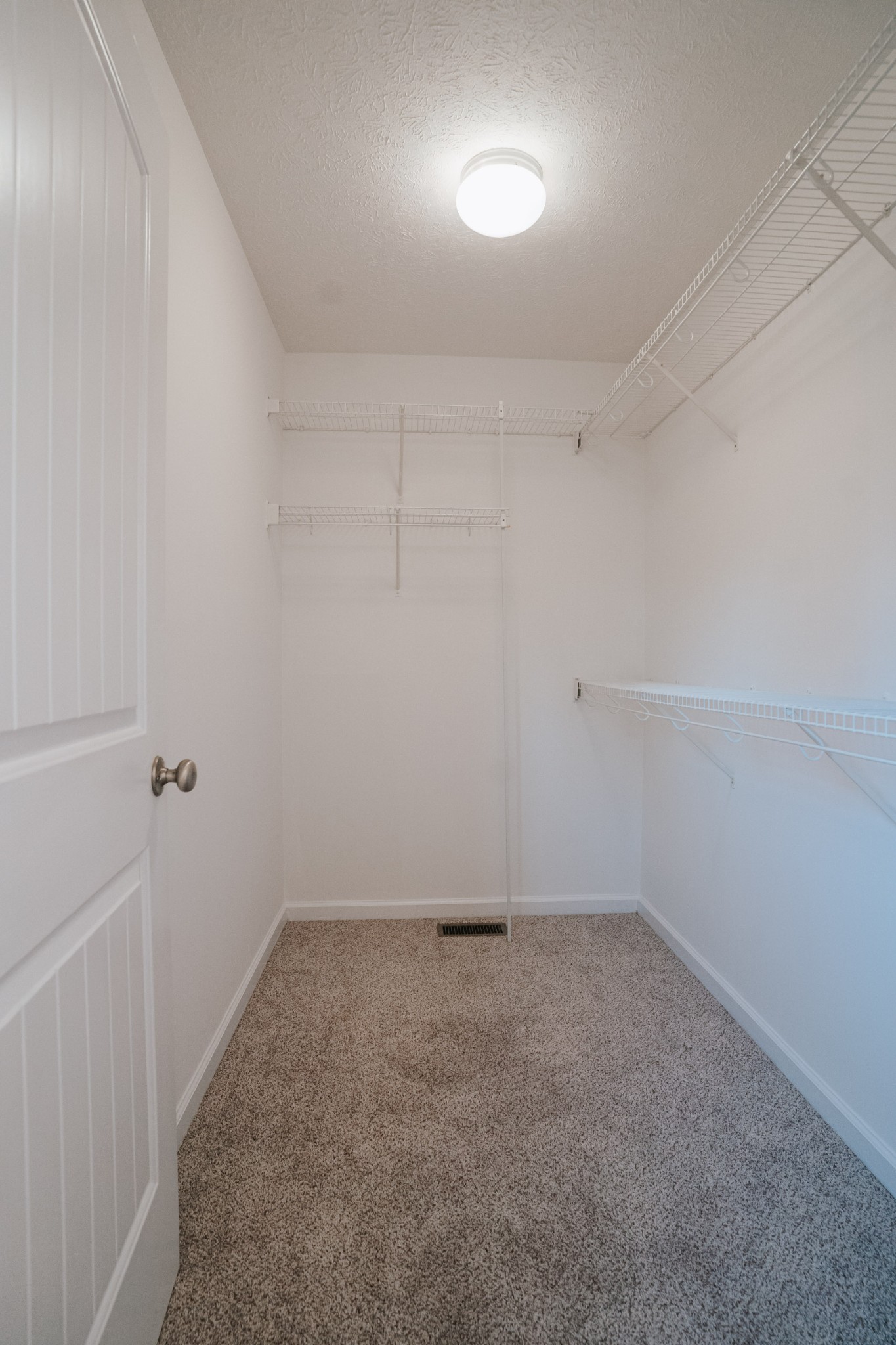 131 Filly Ln