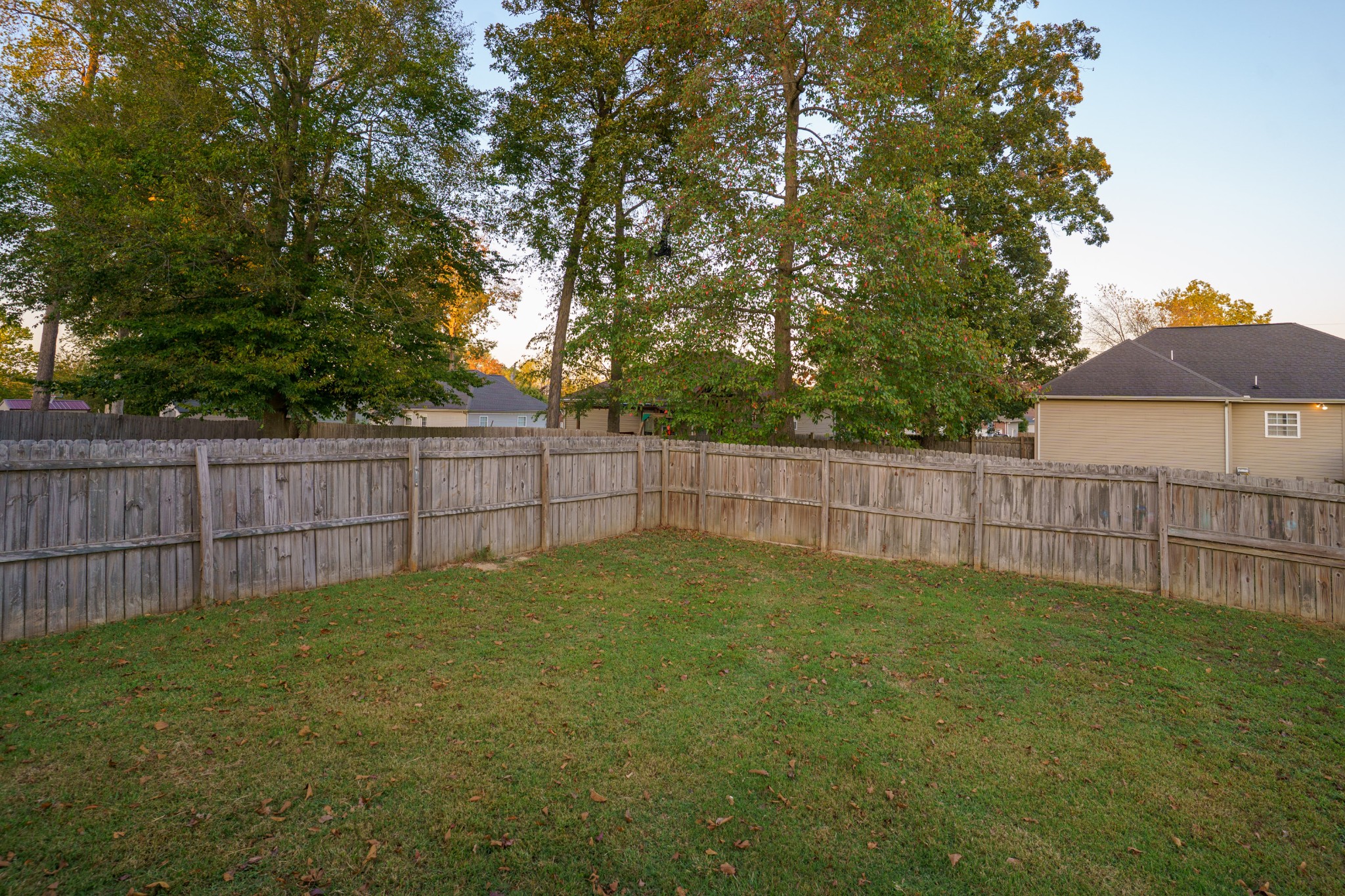 131 Filly Ln