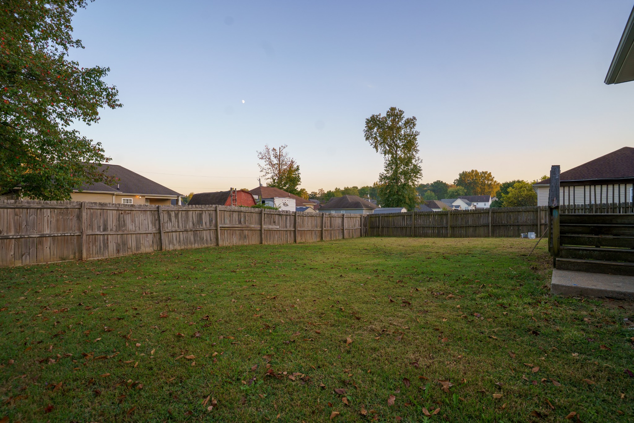 131 Filly Ln