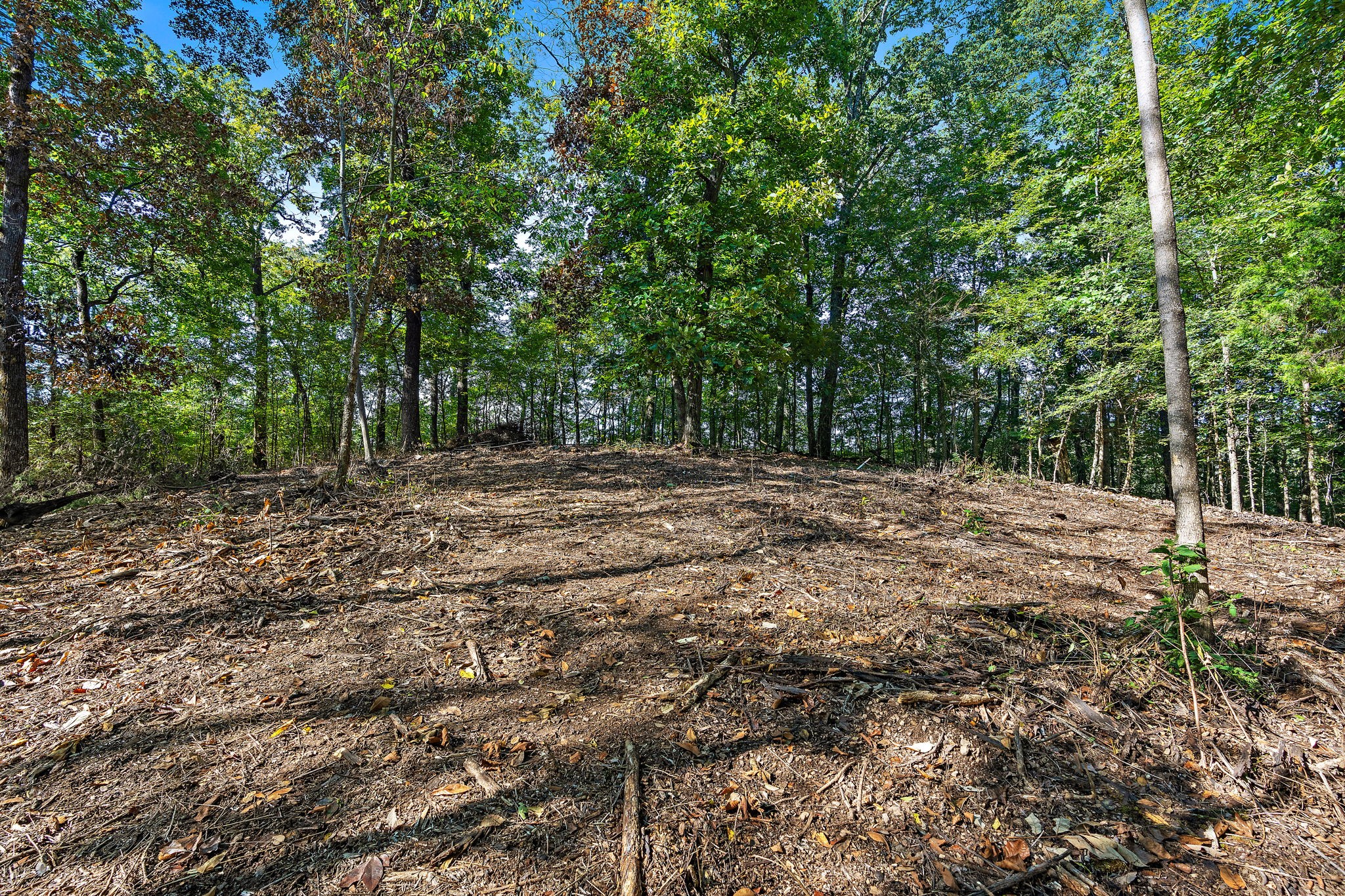 5535 Old Hickory Blvd