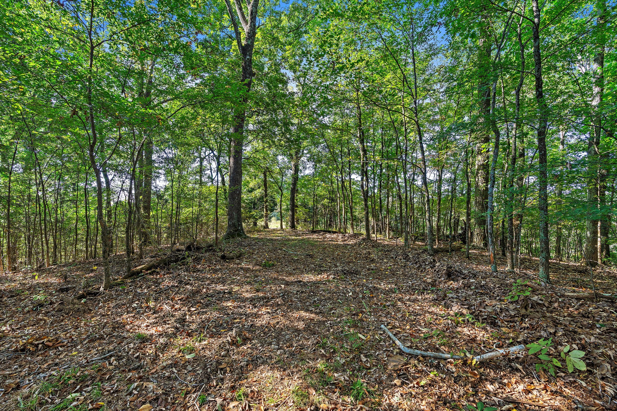 5535 Old Hickory Blvd