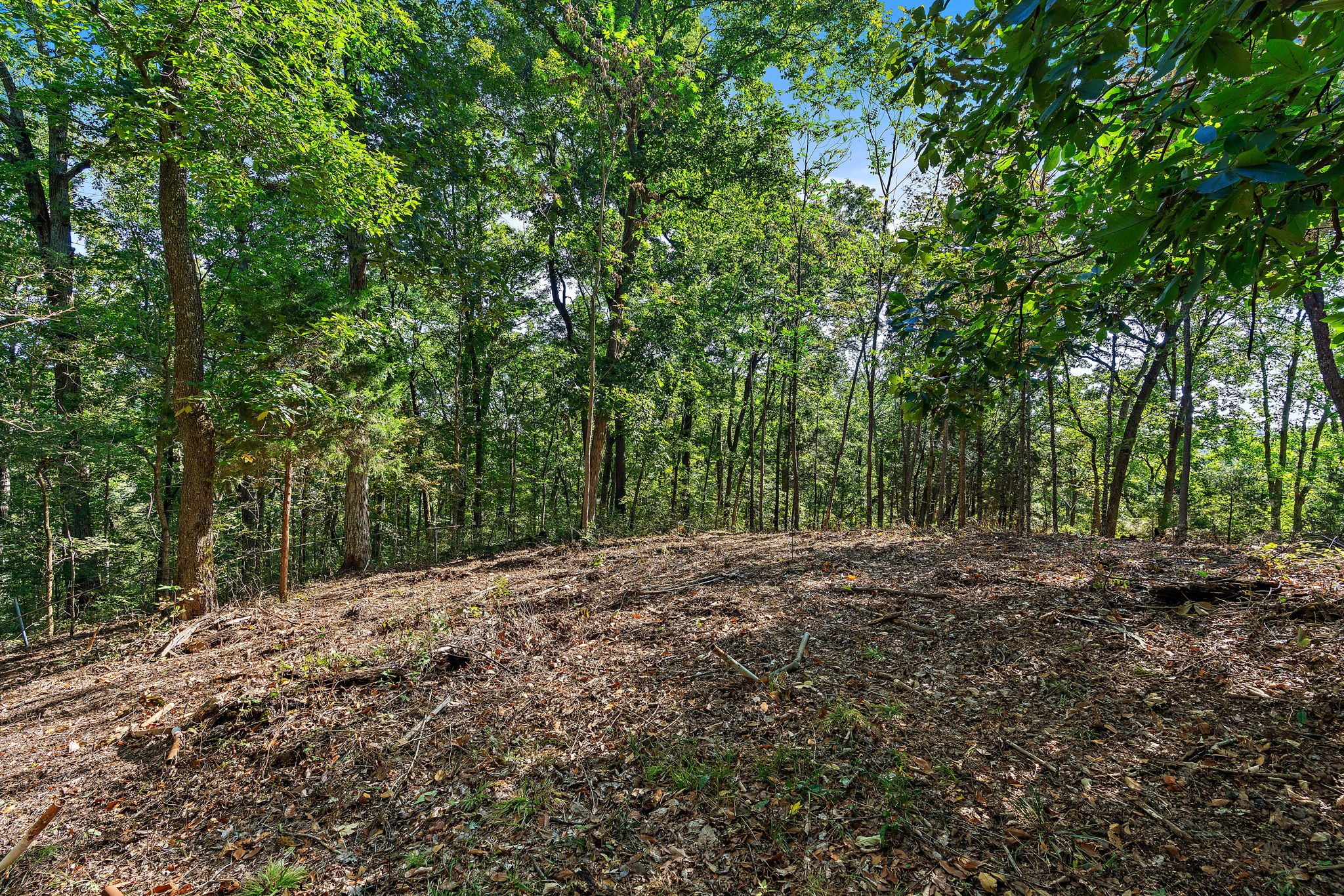 5535 Old Hickory Blvd