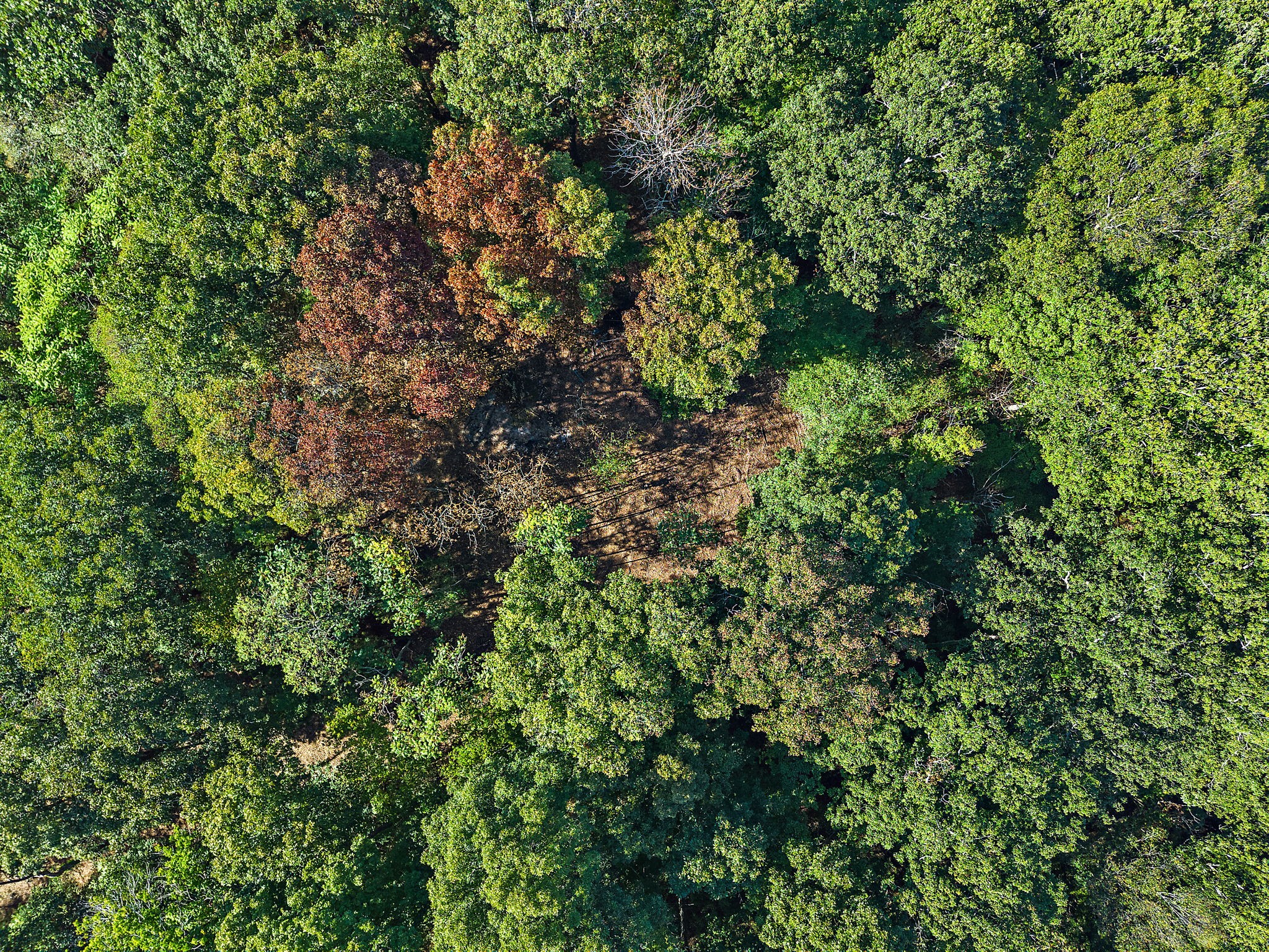 5535 Old Hickory Blvd