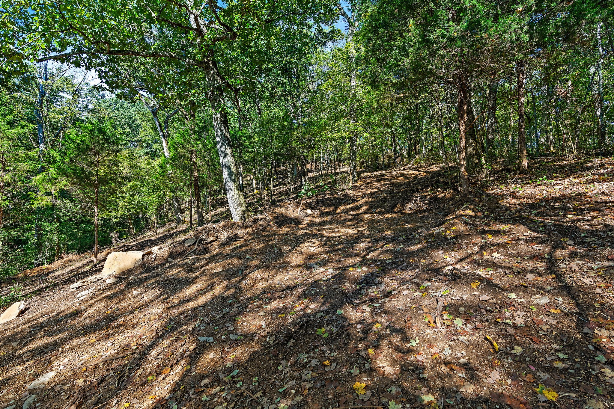 5535 Old Hickory Blvd