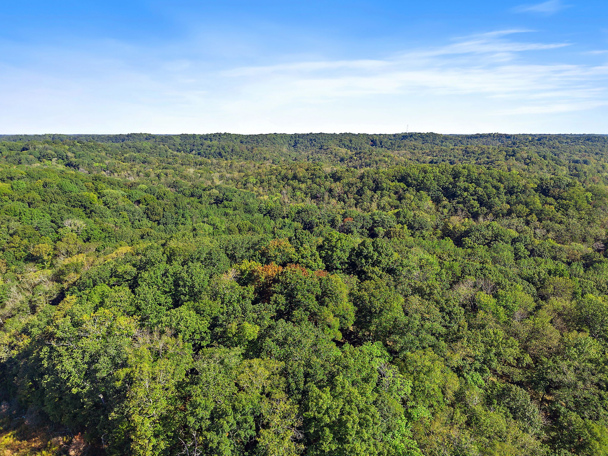 5535 Old Hickory Blvd