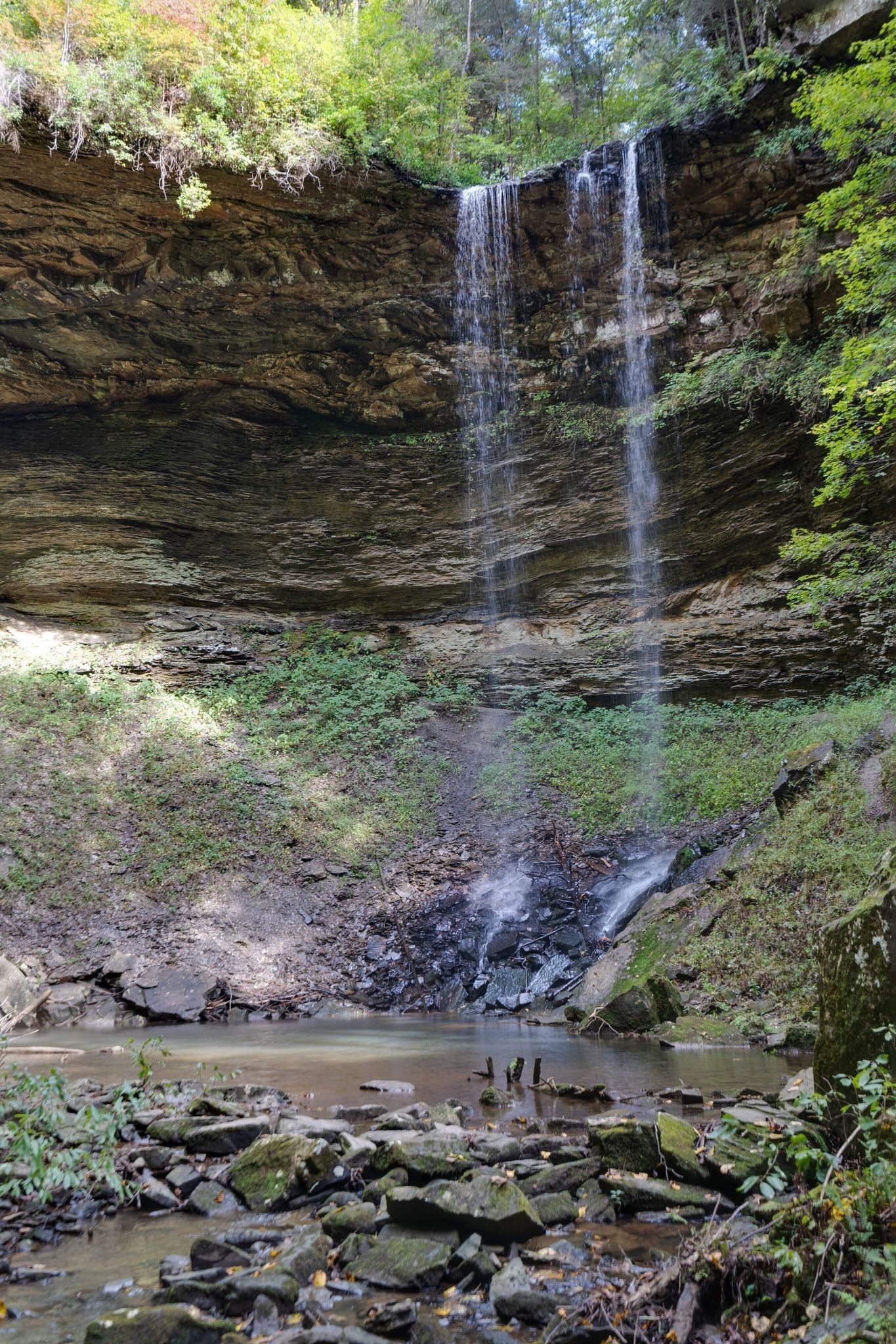 484 Deer Lick Trail