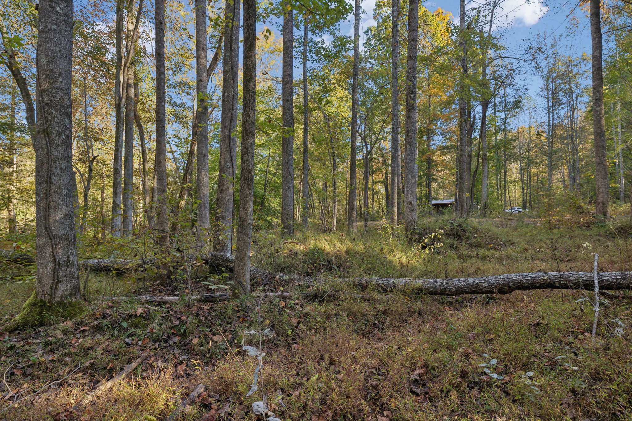 1399 Roberts Creek Rd