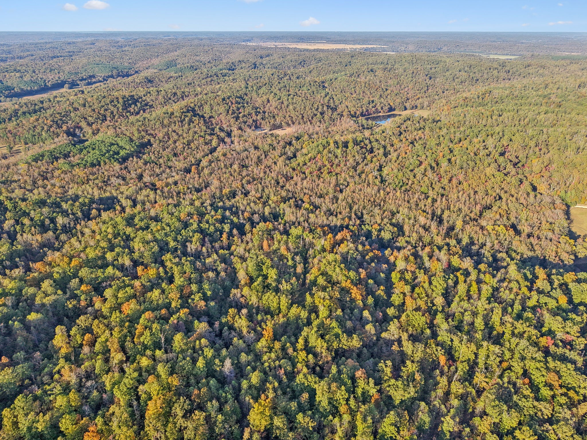 1399 Roberts Creek Rd