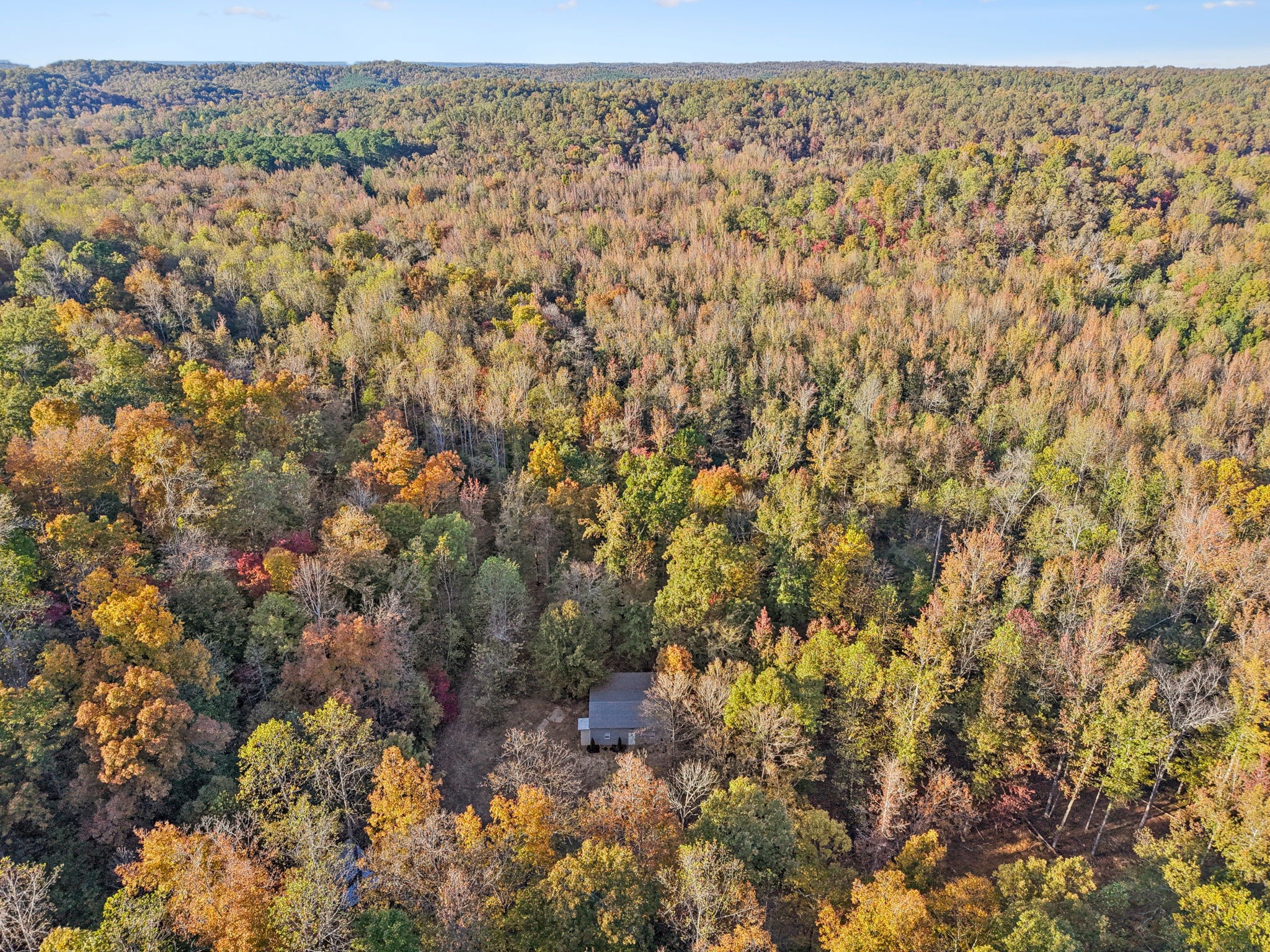 1399 Roberts Creek Rd