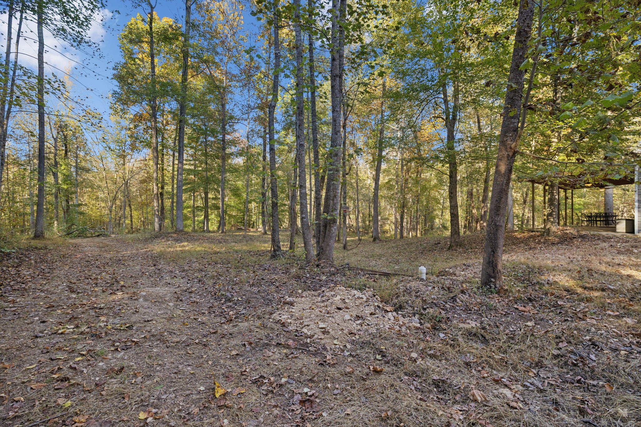 1399 Roberts Creek Rd