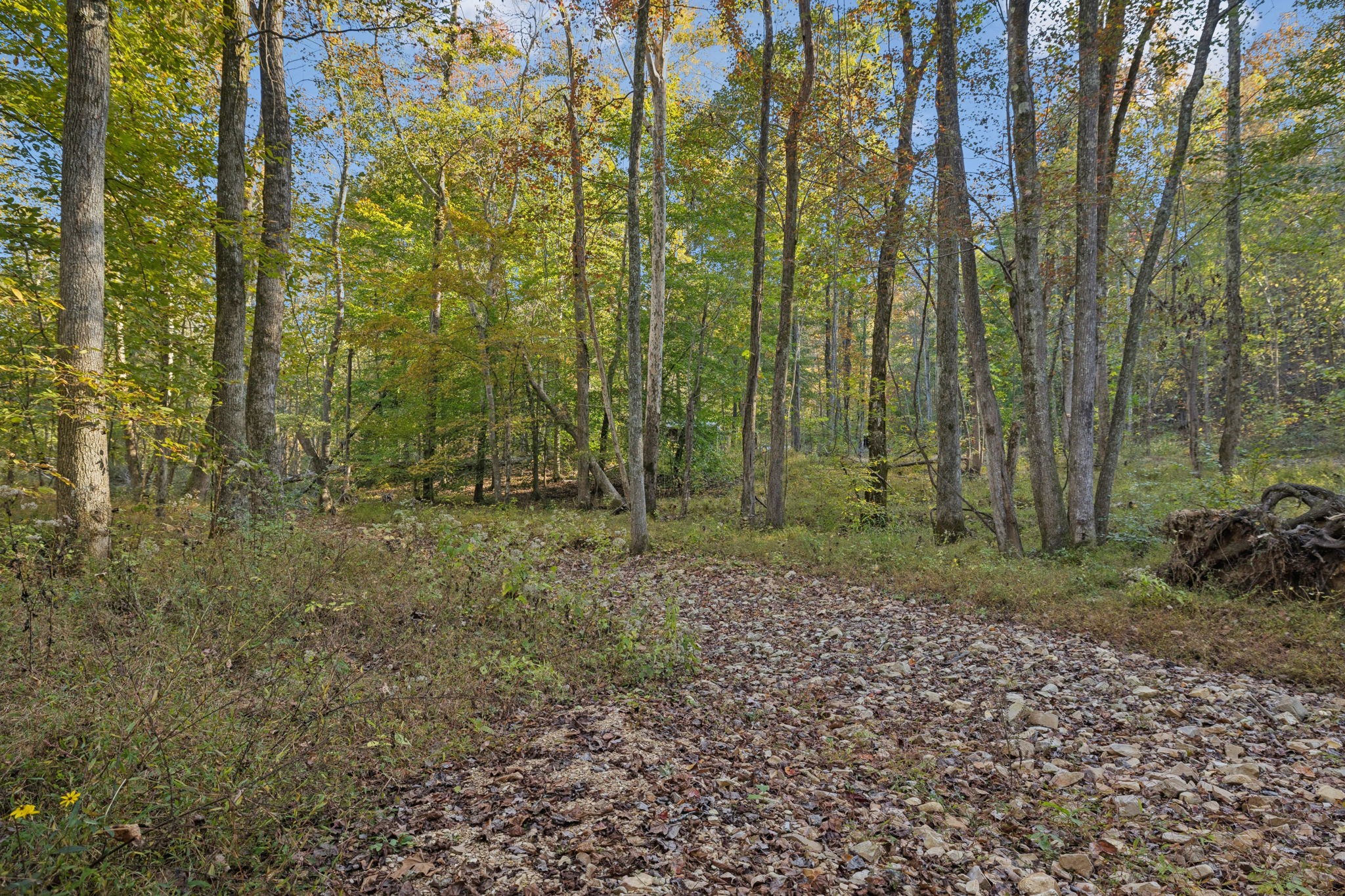 1399 Roberts Creek Rd