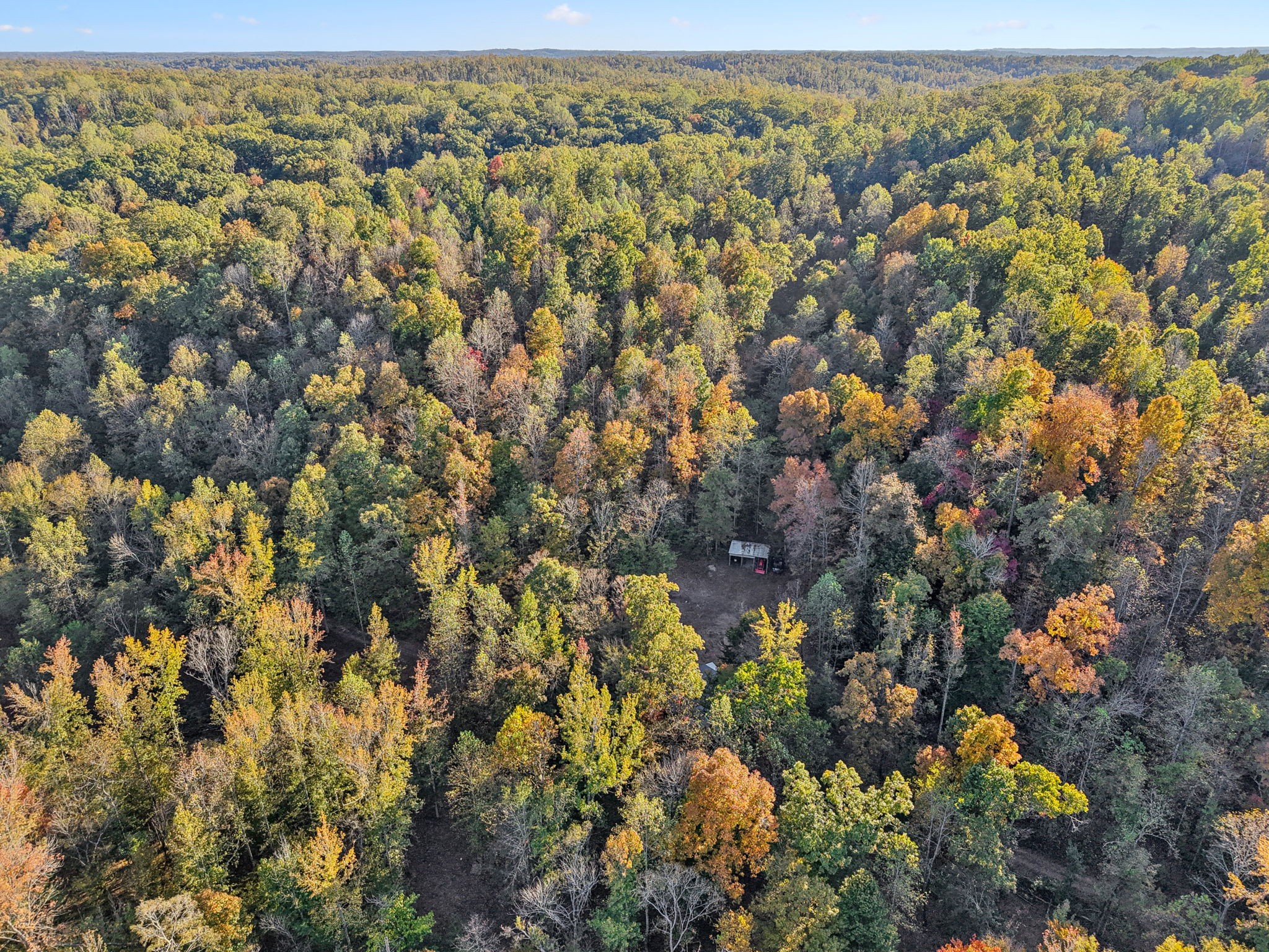 1399 Roberts Creek Rd