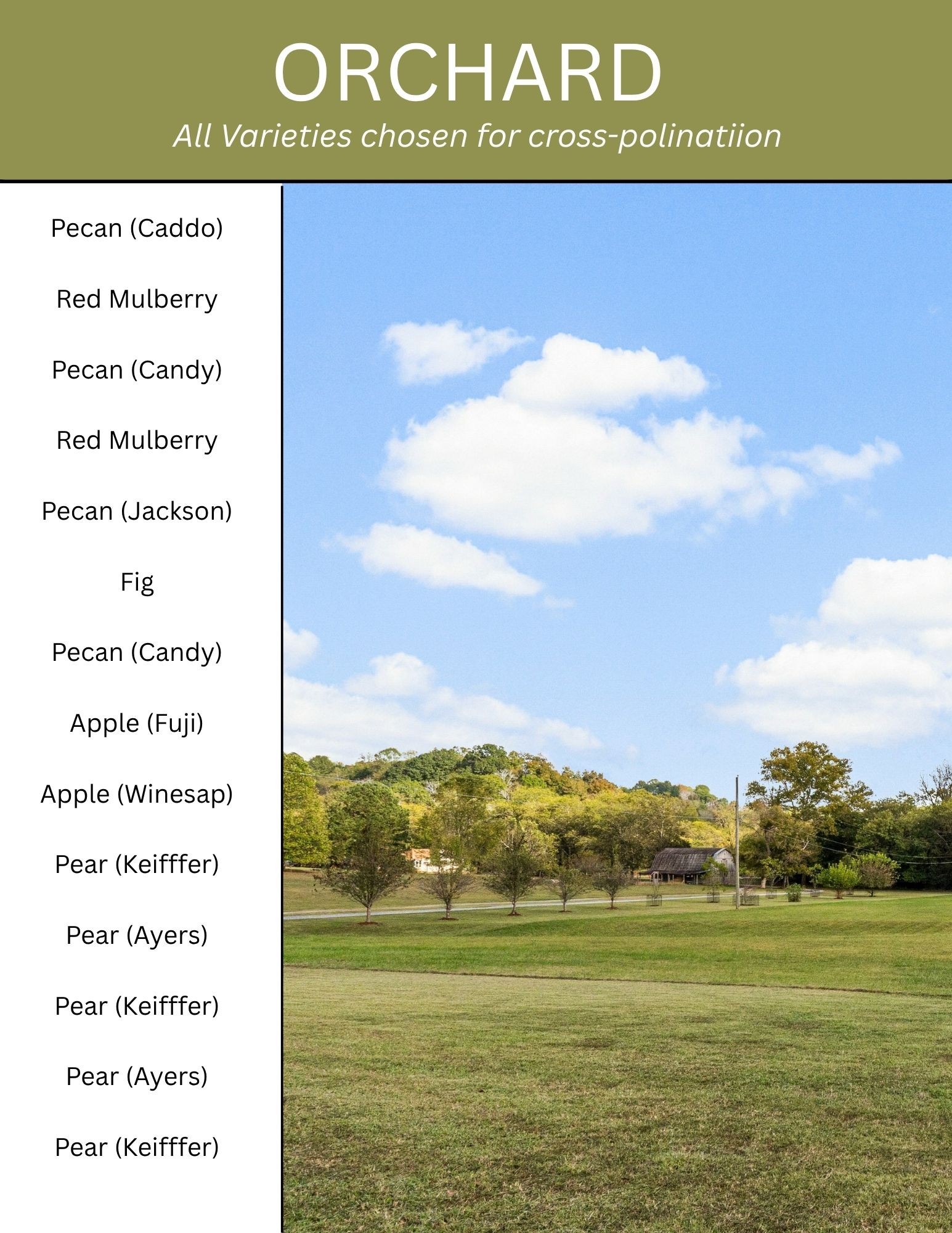 4794 Brick Church Pike