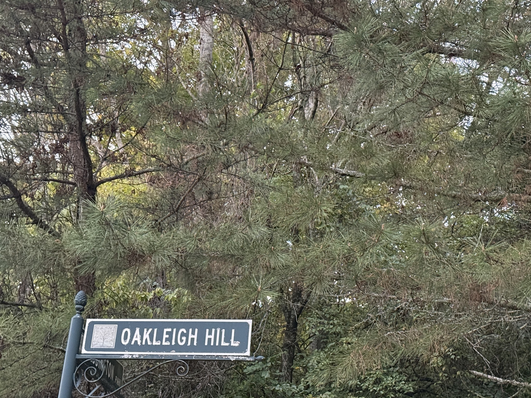 1332 Oakleigh Hill Drive