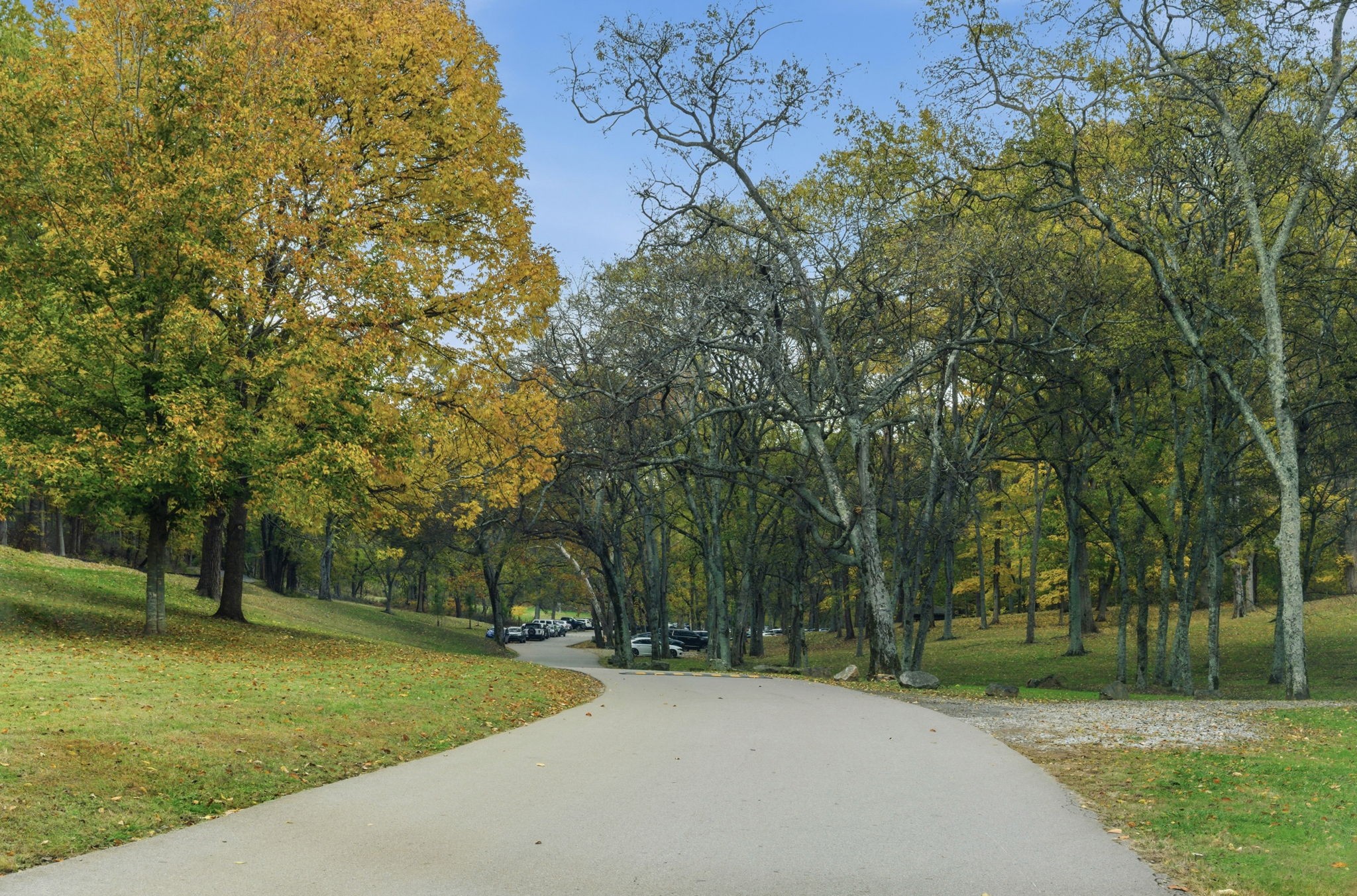 810 Bellevue Rd Unit: 213