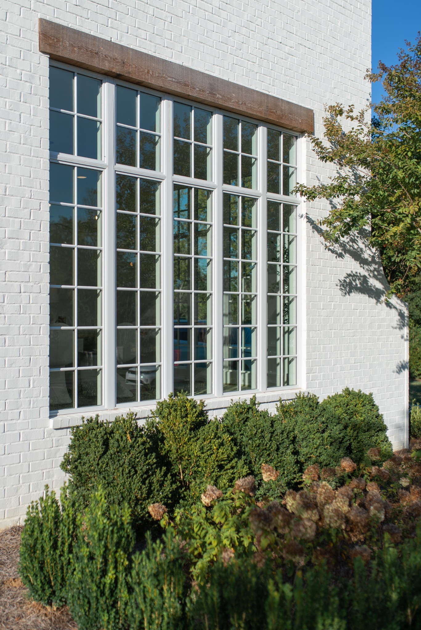 6034 Frazier Park Ln