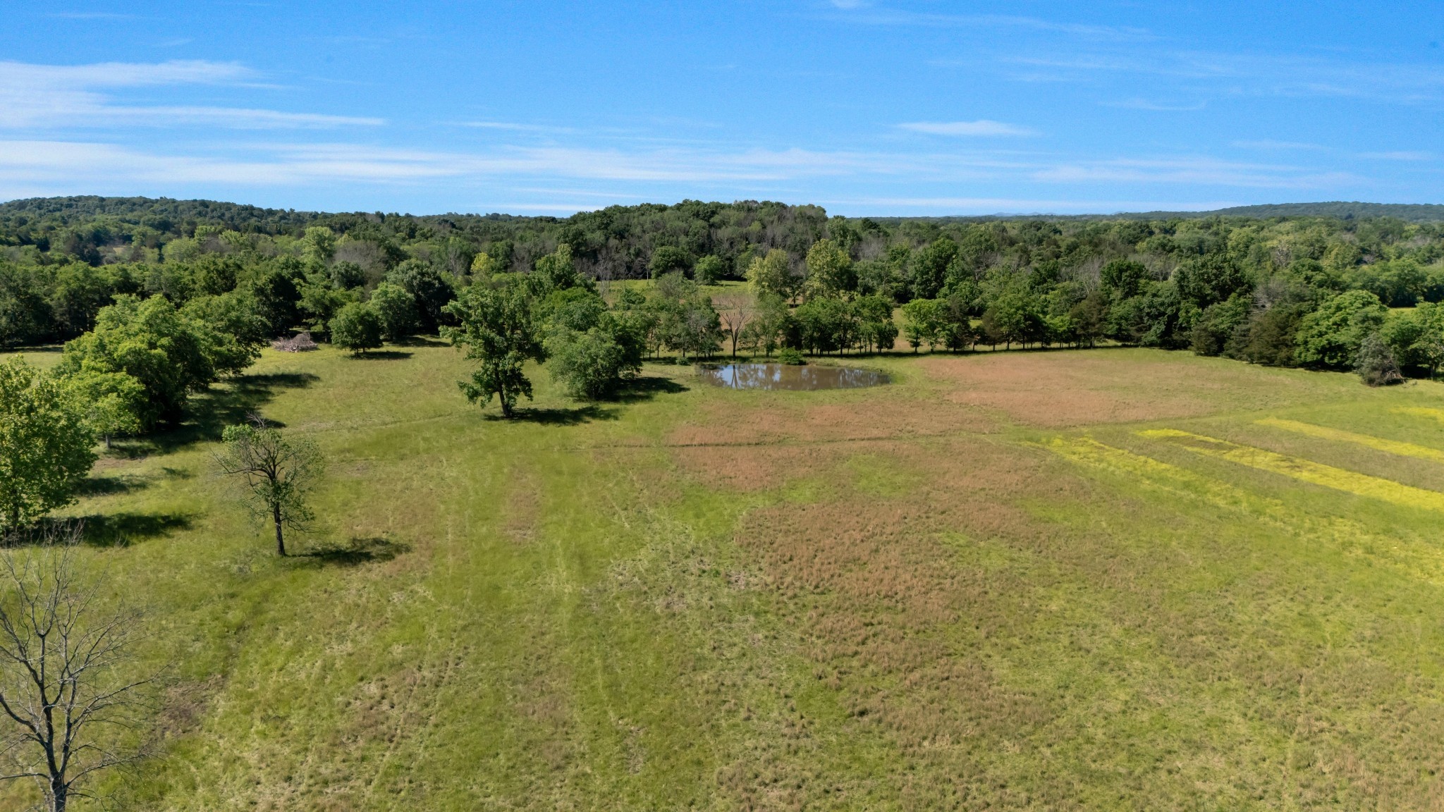 7736 Stewarts Ferry Pike