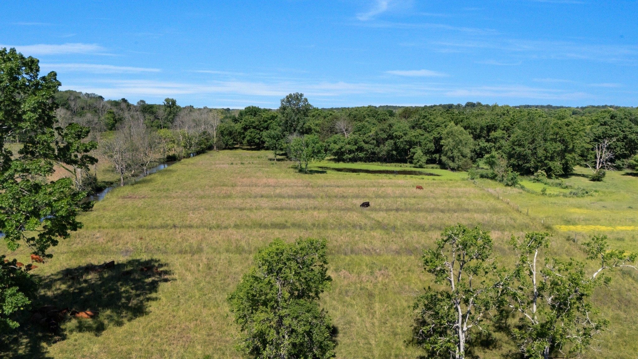 7736 Stewarts Ferry Pike