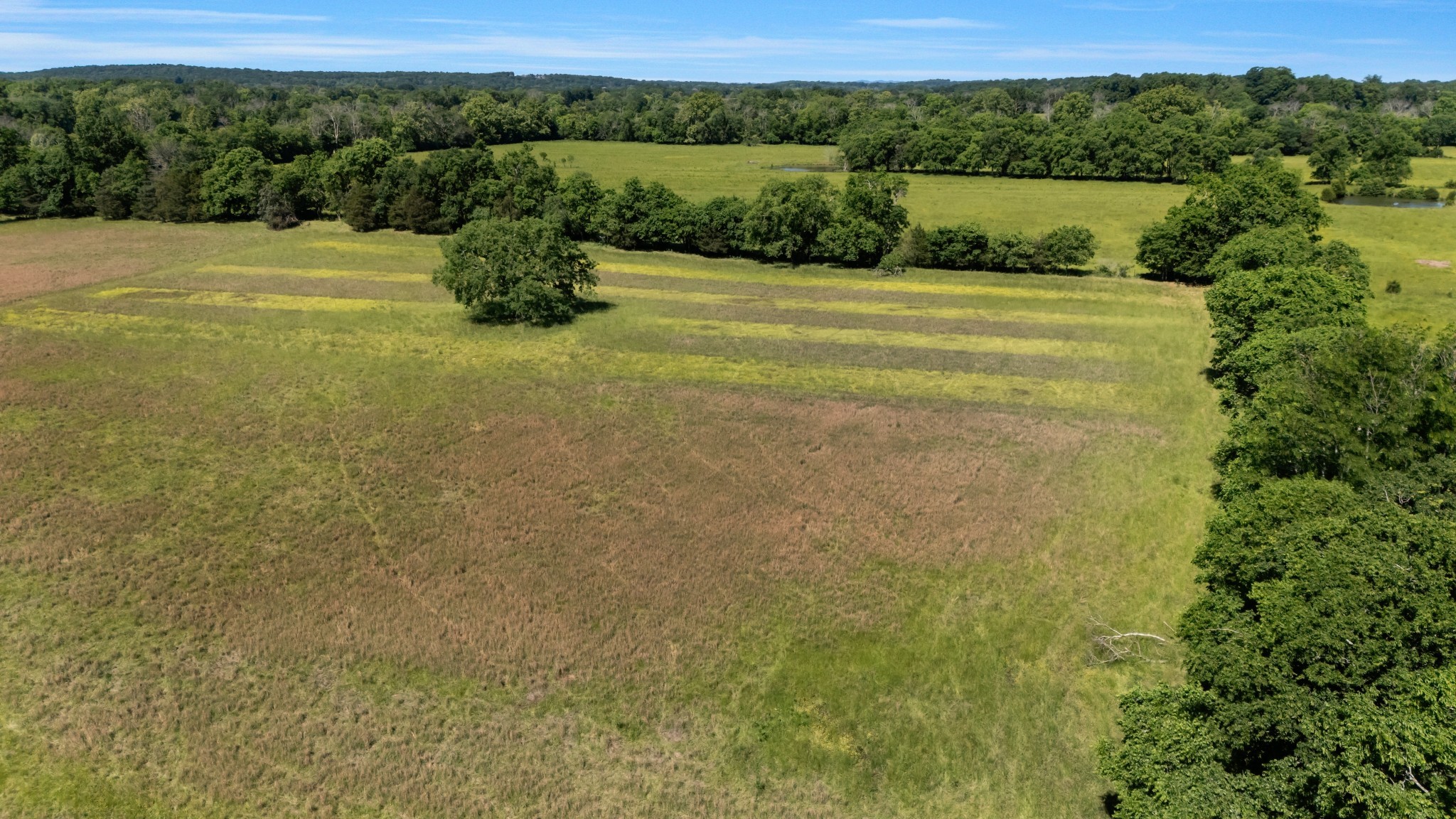 7736 Stewarts Ferry Pike