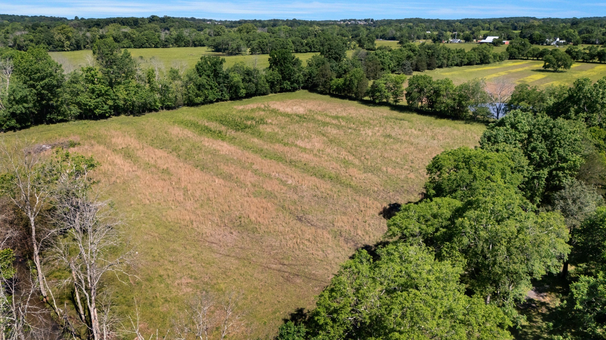 7736 Stewarts Ferry Pike