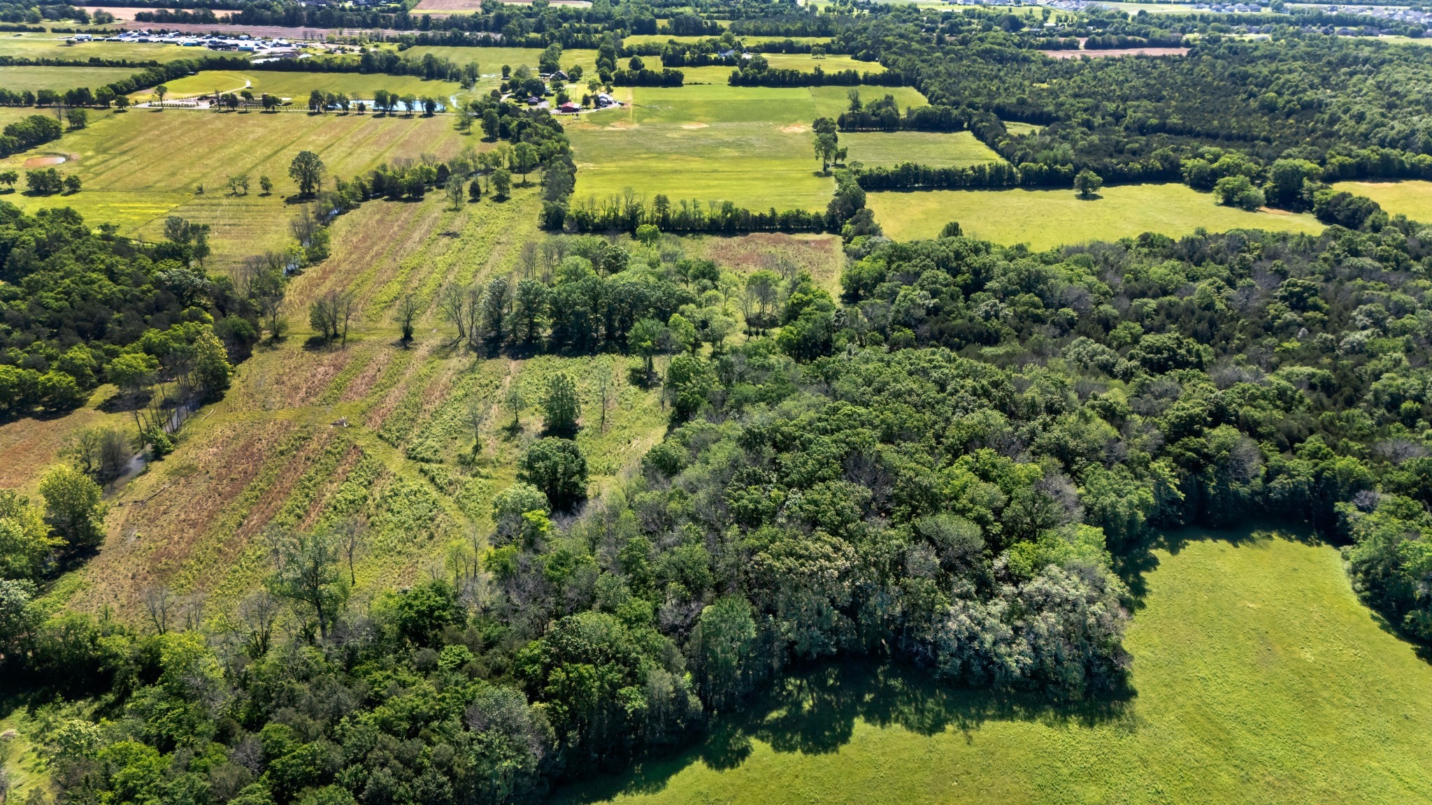 7736 Stewarts Ferry Pike