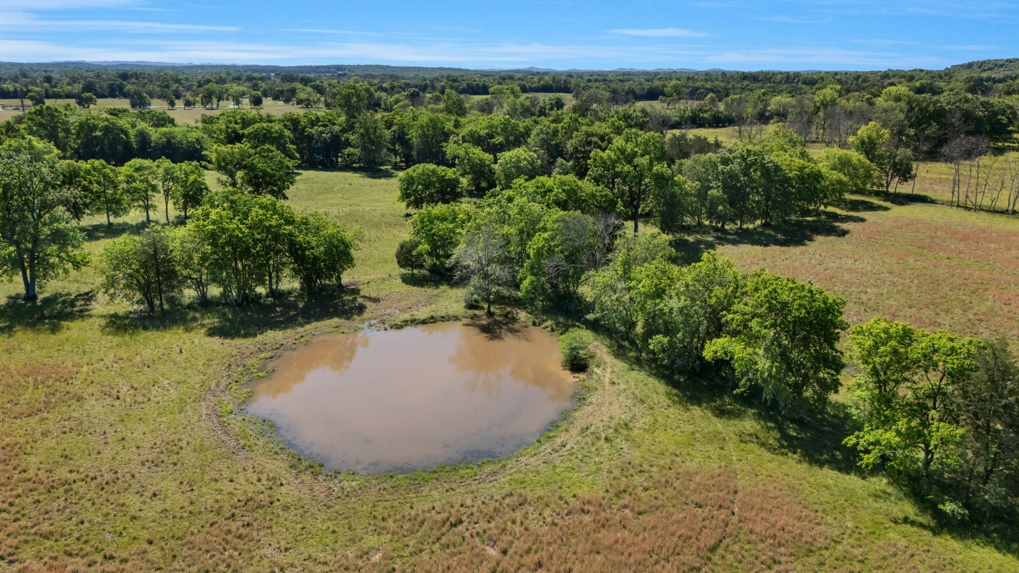 7736 Stewarts Ferry Pike