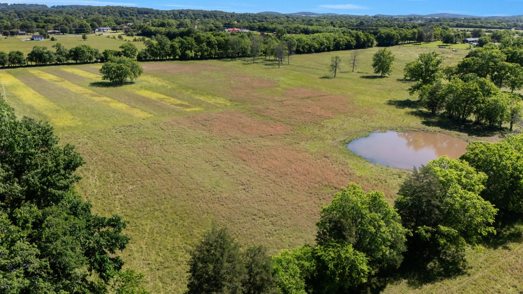 7736 Stewarts Ferry Pike