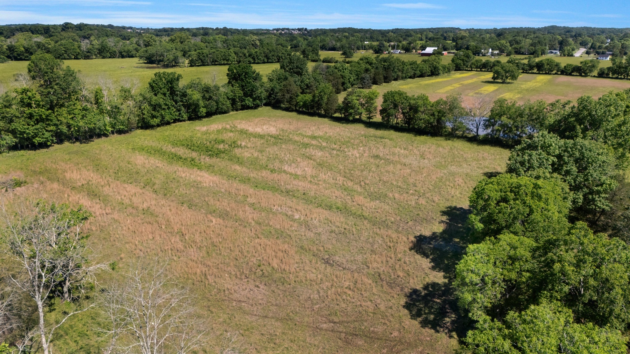 7736 Stewarts Ferry Pike