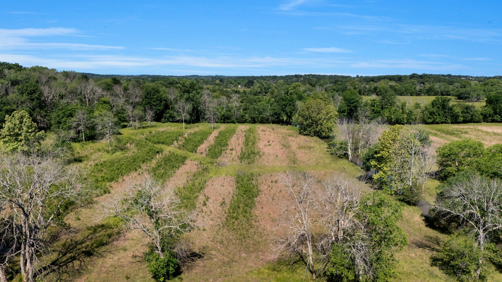 7736 Stewarts Ferry Pike