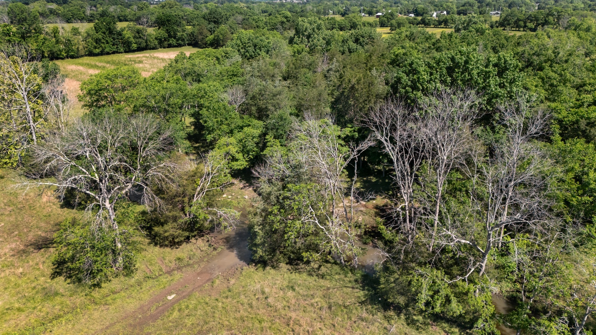 7736 Stewarts Ferry Pike