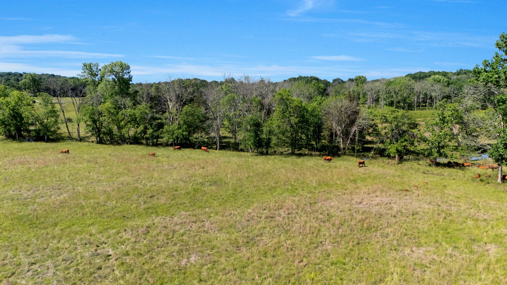 7736 Stewarts Ferry Pike