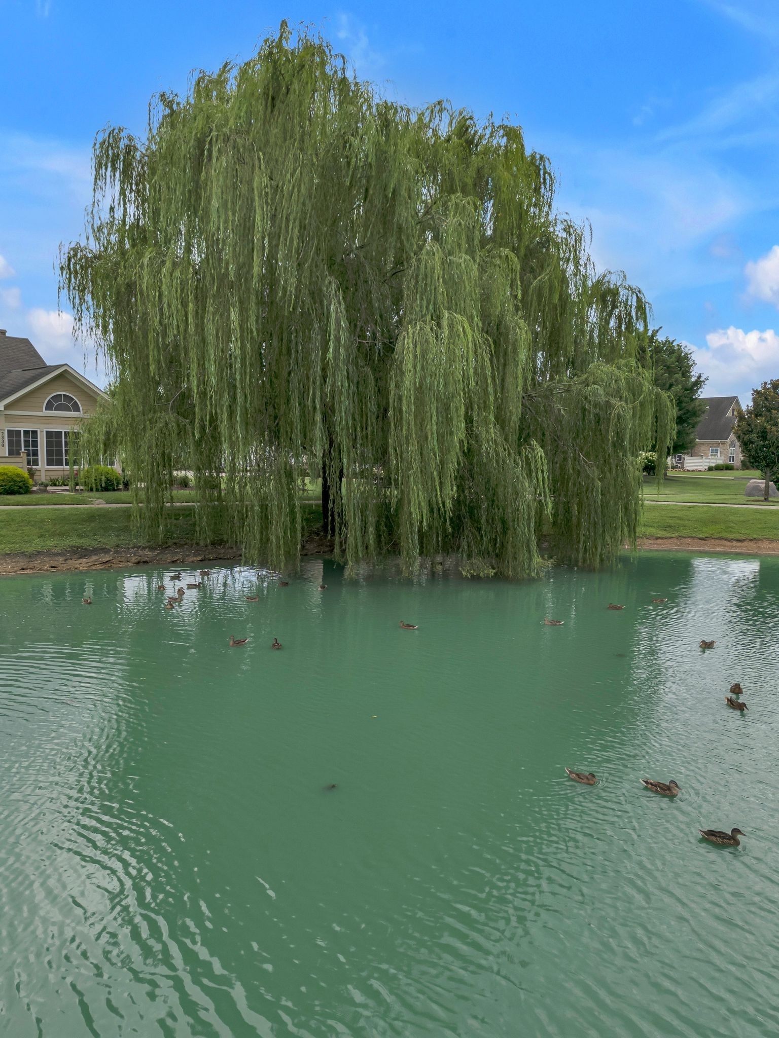 2341 Stonecenter Lane