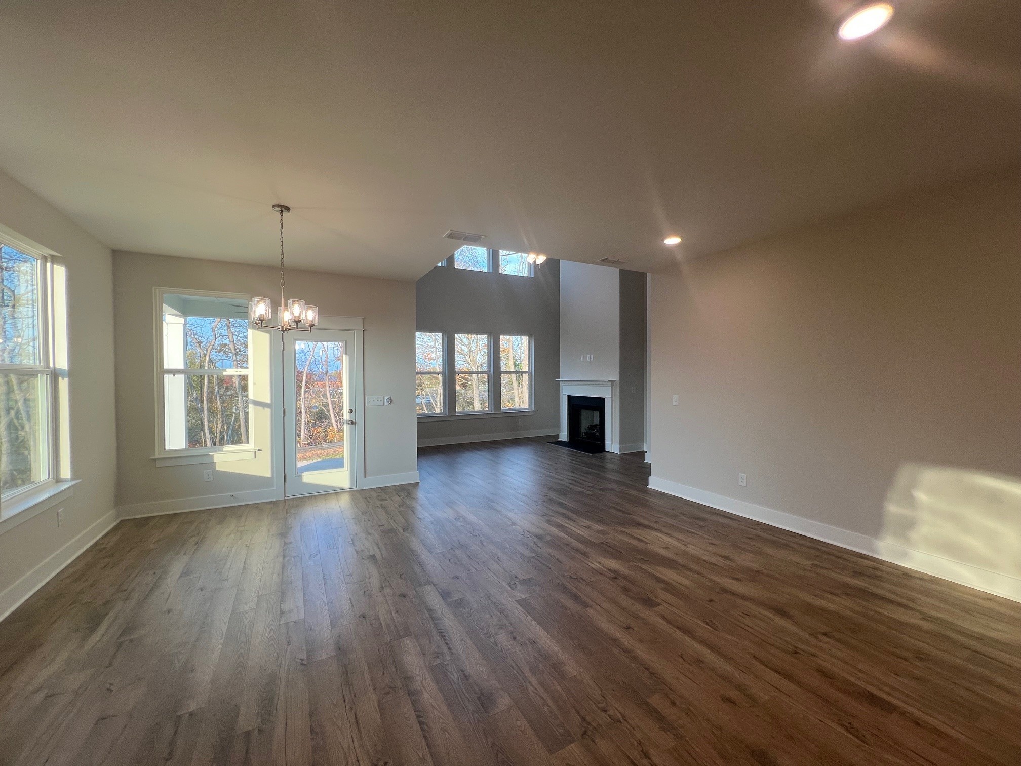 4138 Dream Beetle Loop