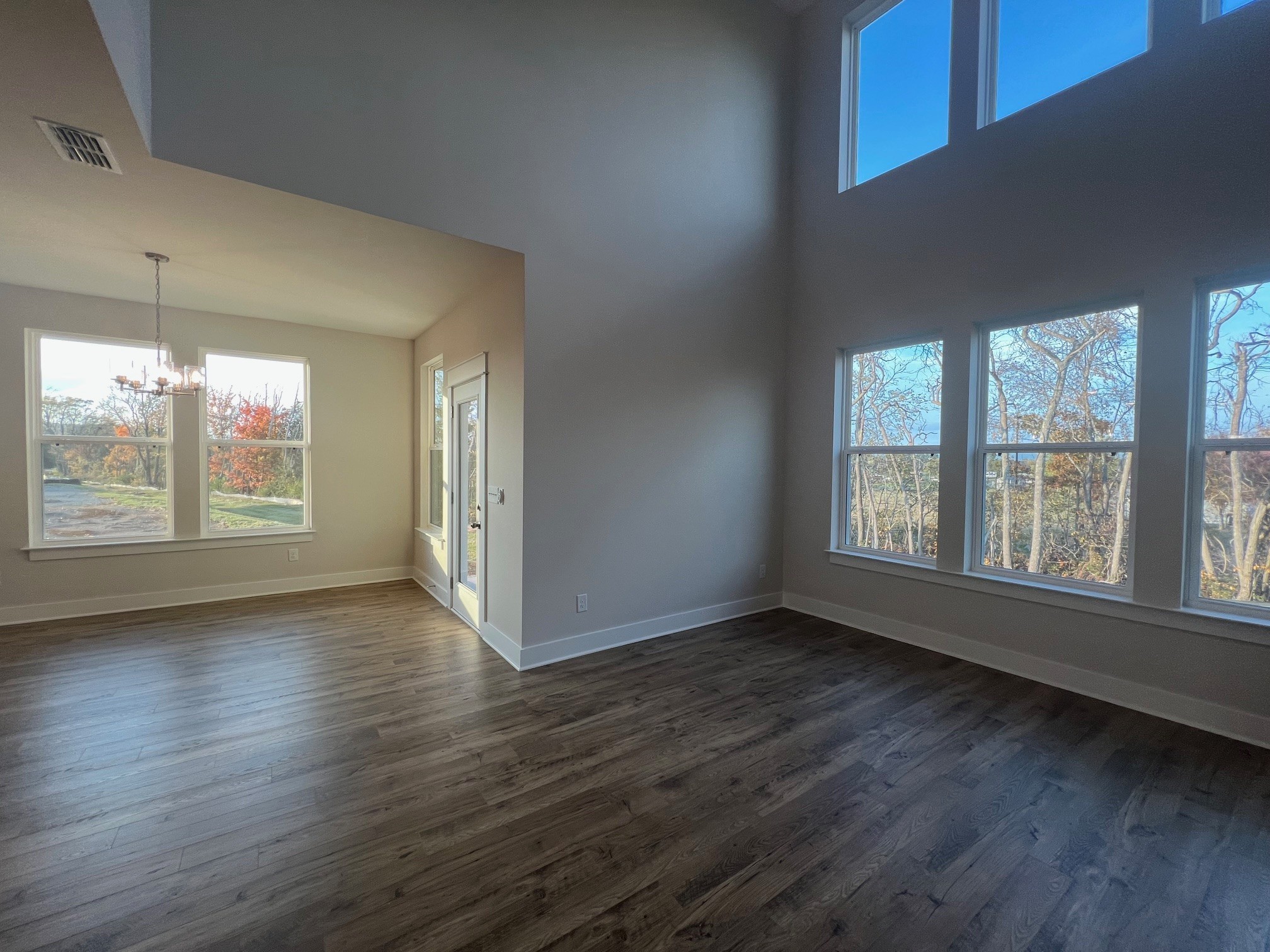 4138 Dream Beetle Loop