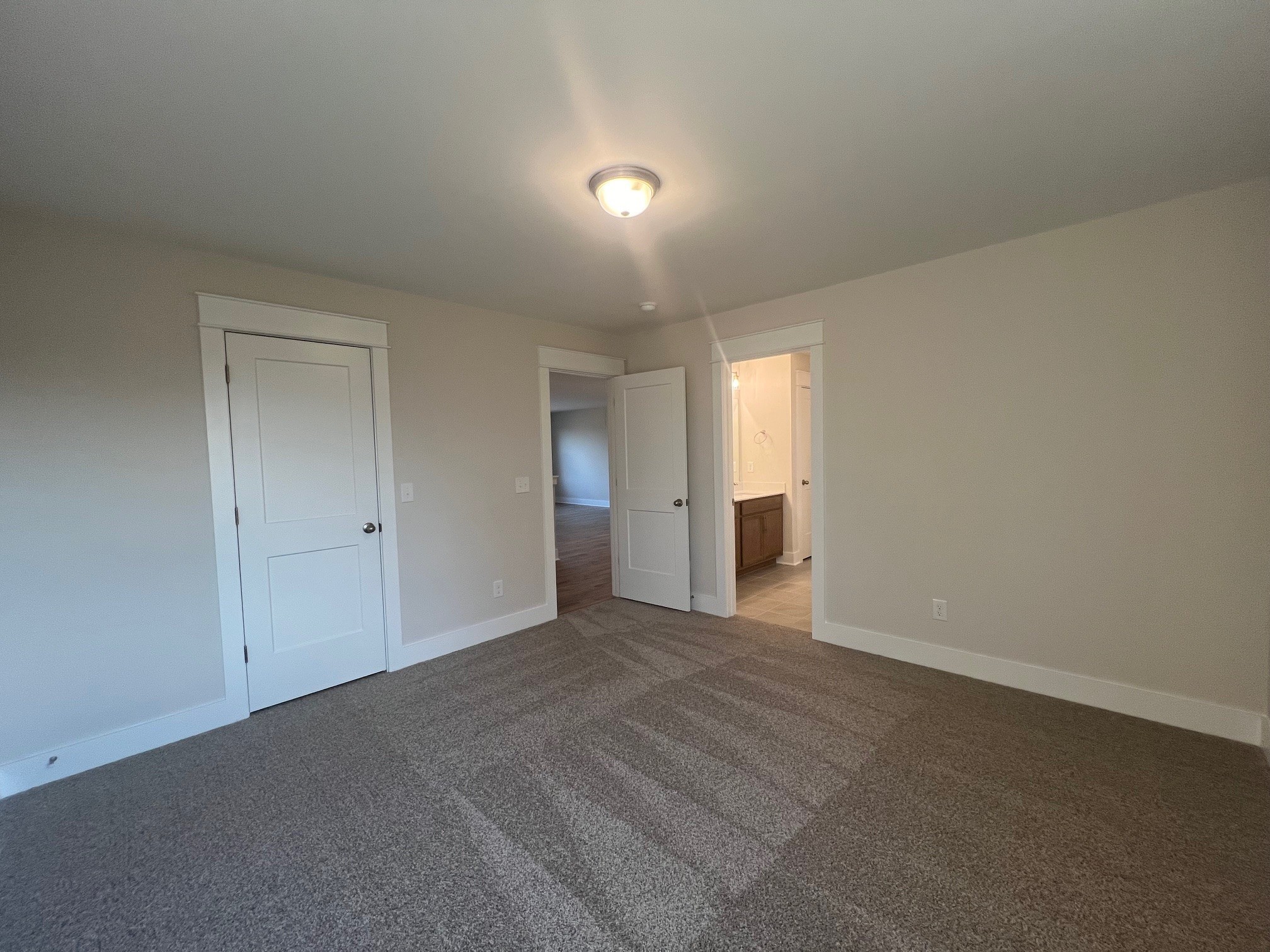 4138 Dream Beetle Loop