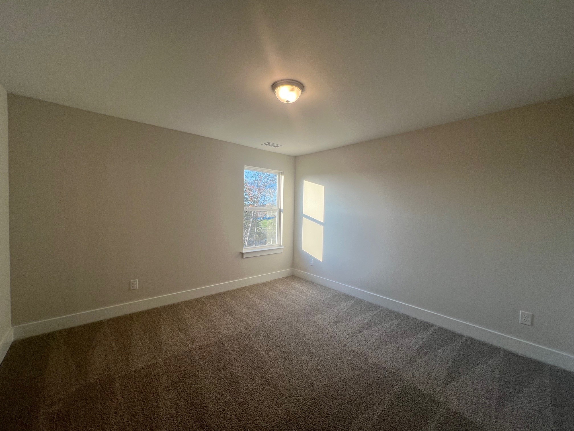 4138 Dream Beetle Loop