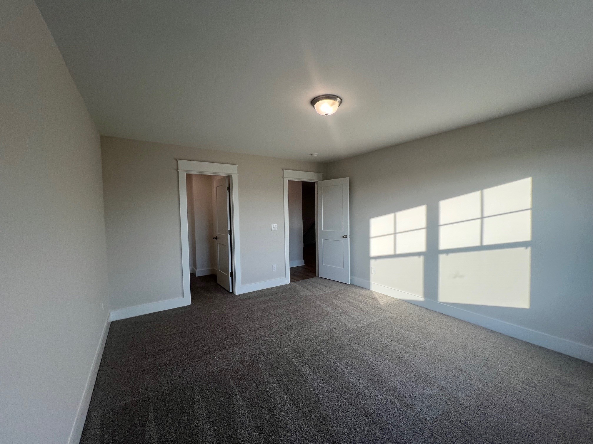 4138 Dream Beetle Loop