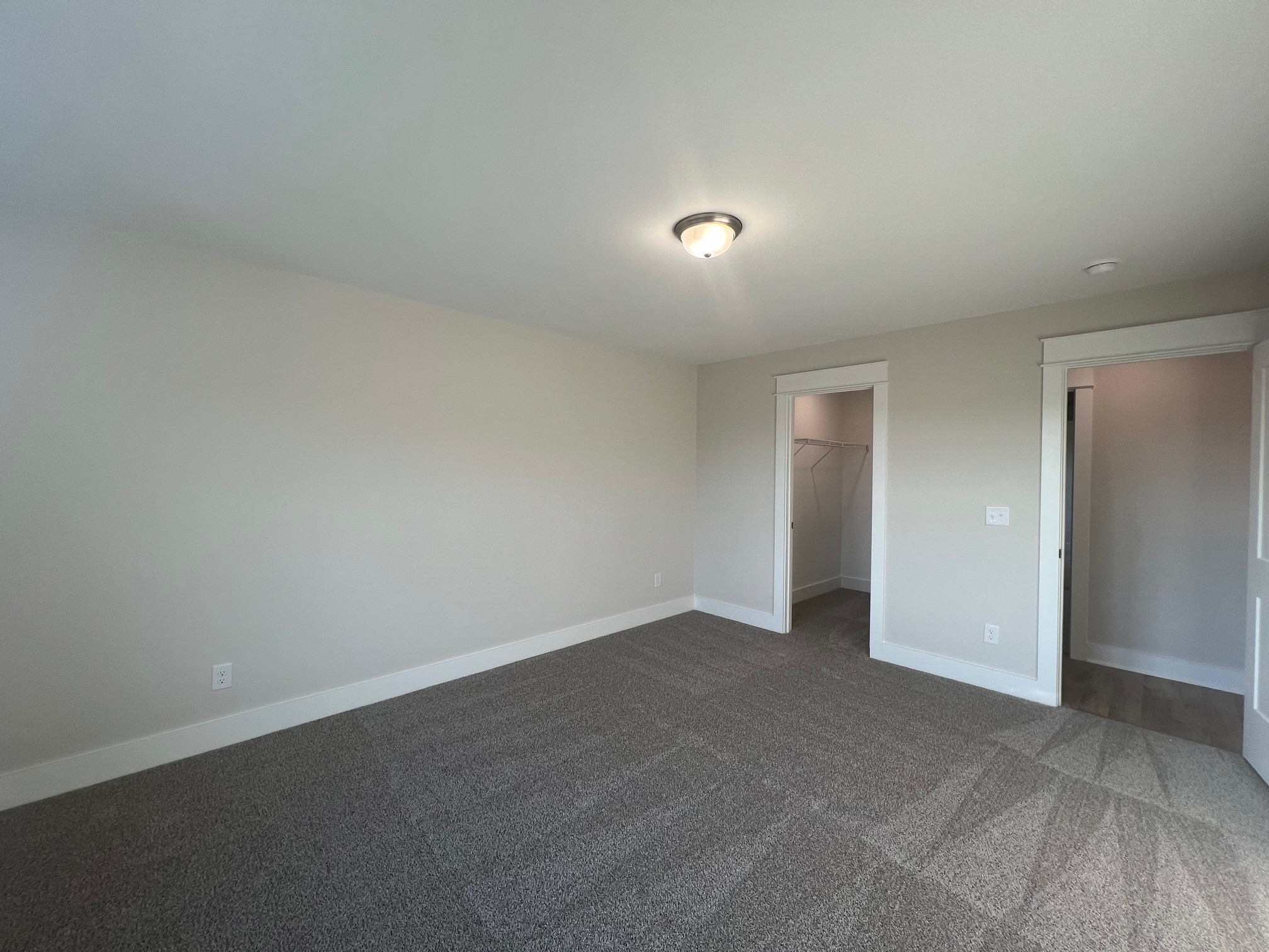 4138 Dream Beetle Loop