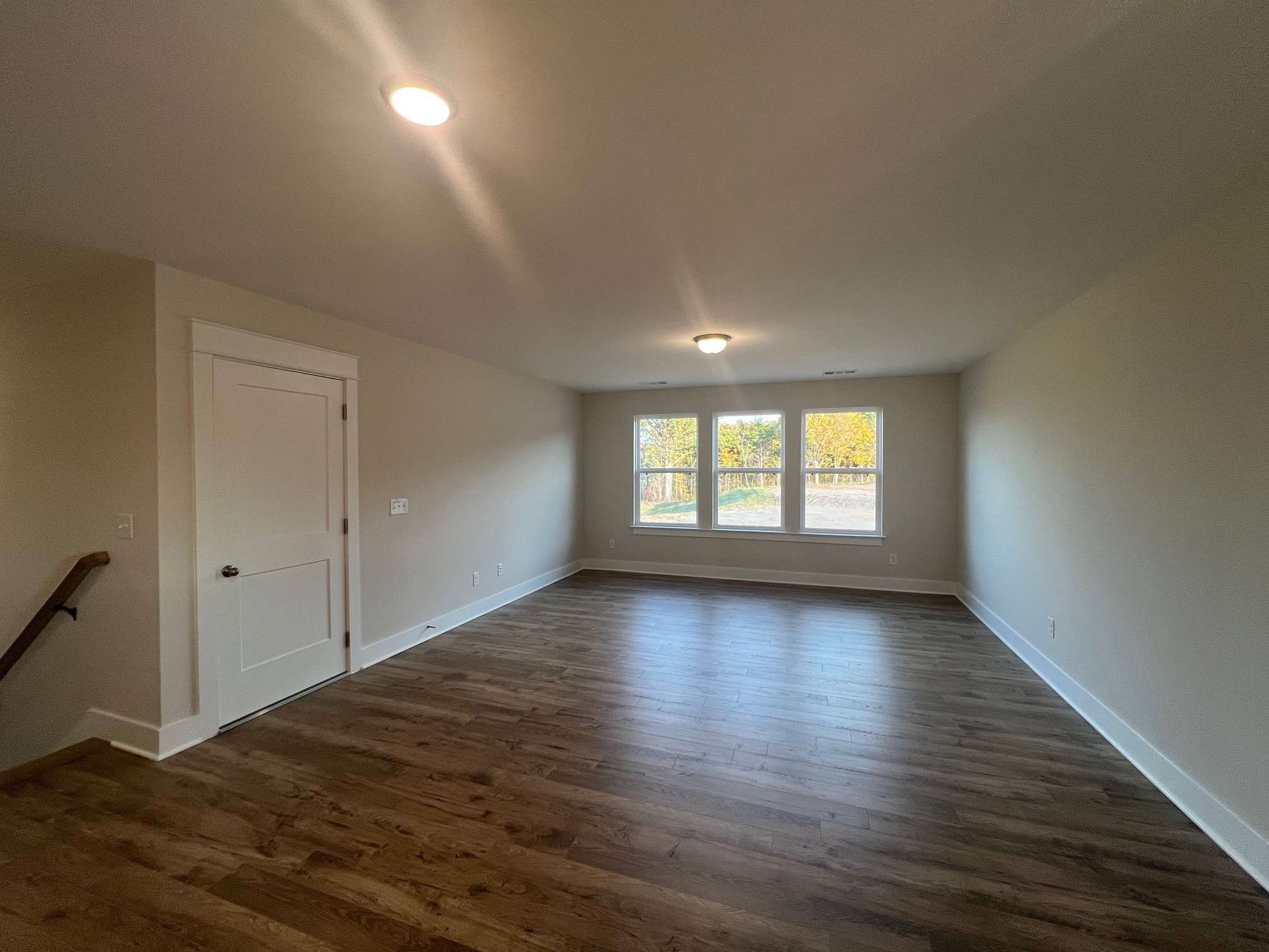 4138 Dream Beetle Loop