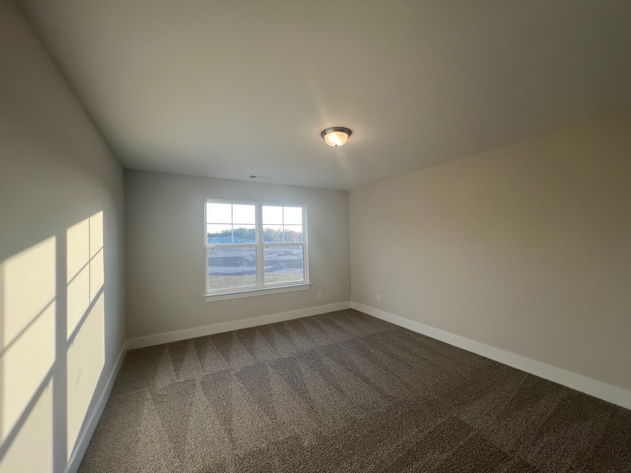 4138 Dream Beetle Loop