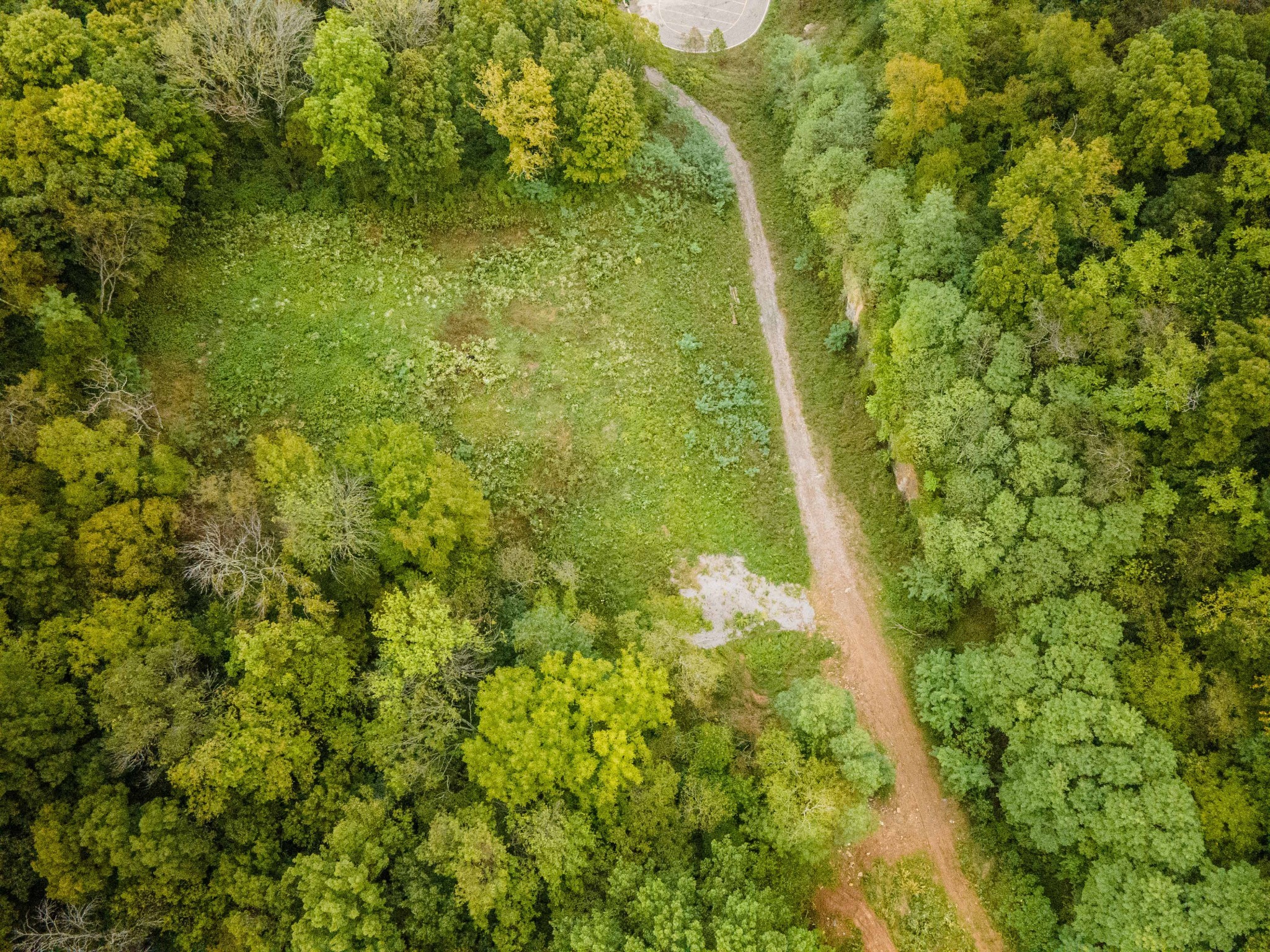 1015 Cartwright Close Dr