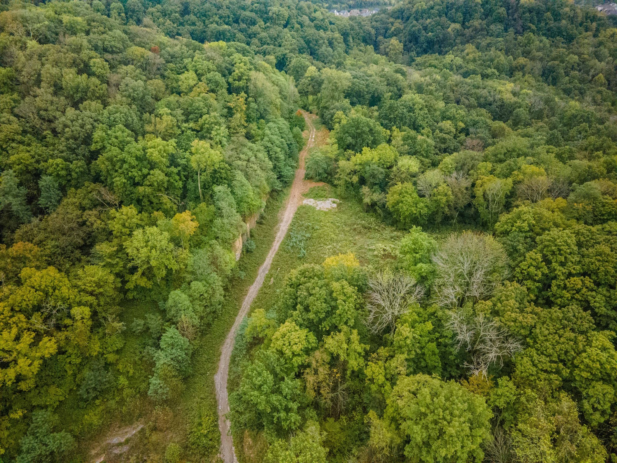 1015 Cartwright Close Dr