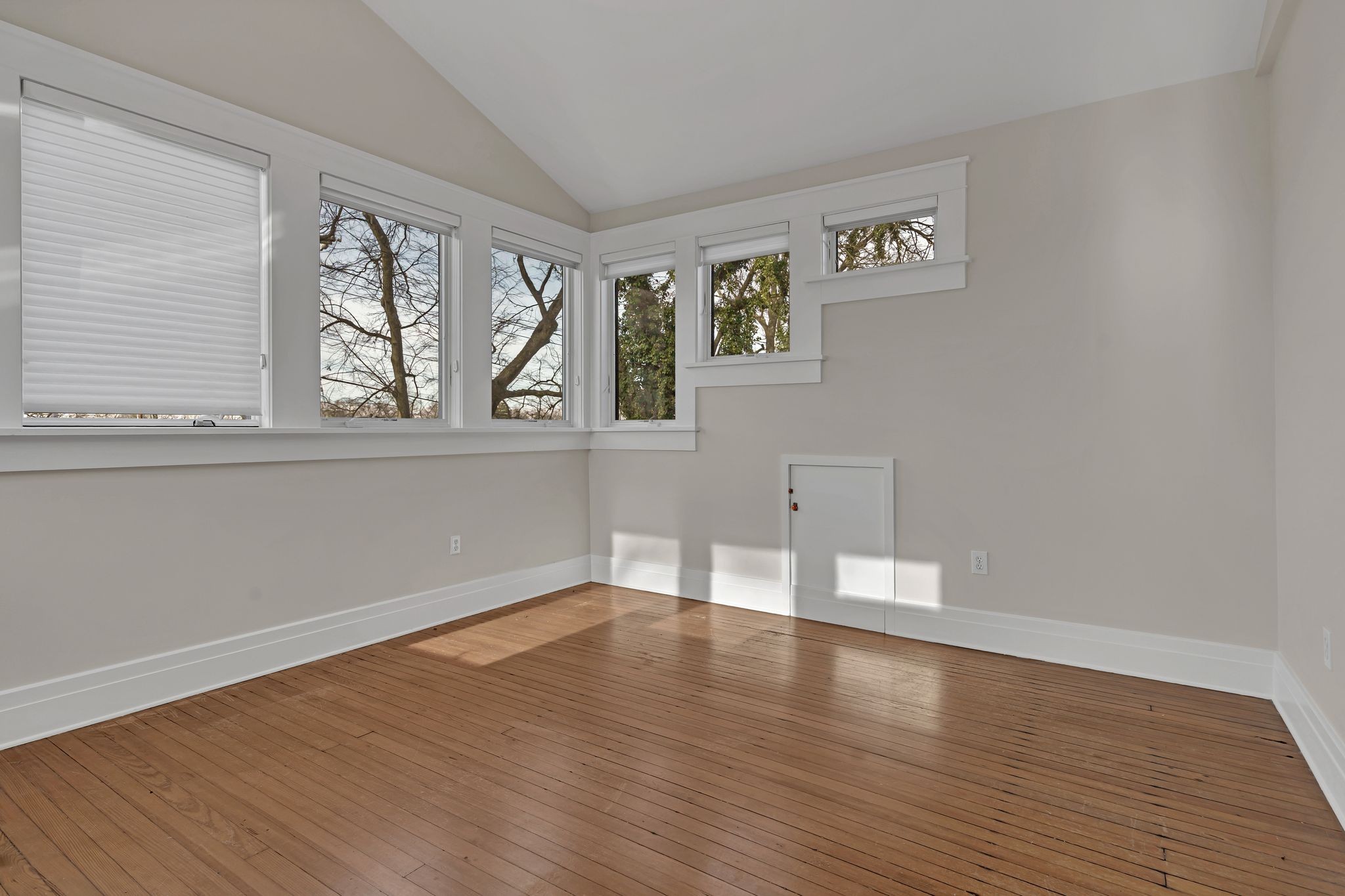 339 Chesterfield Ave