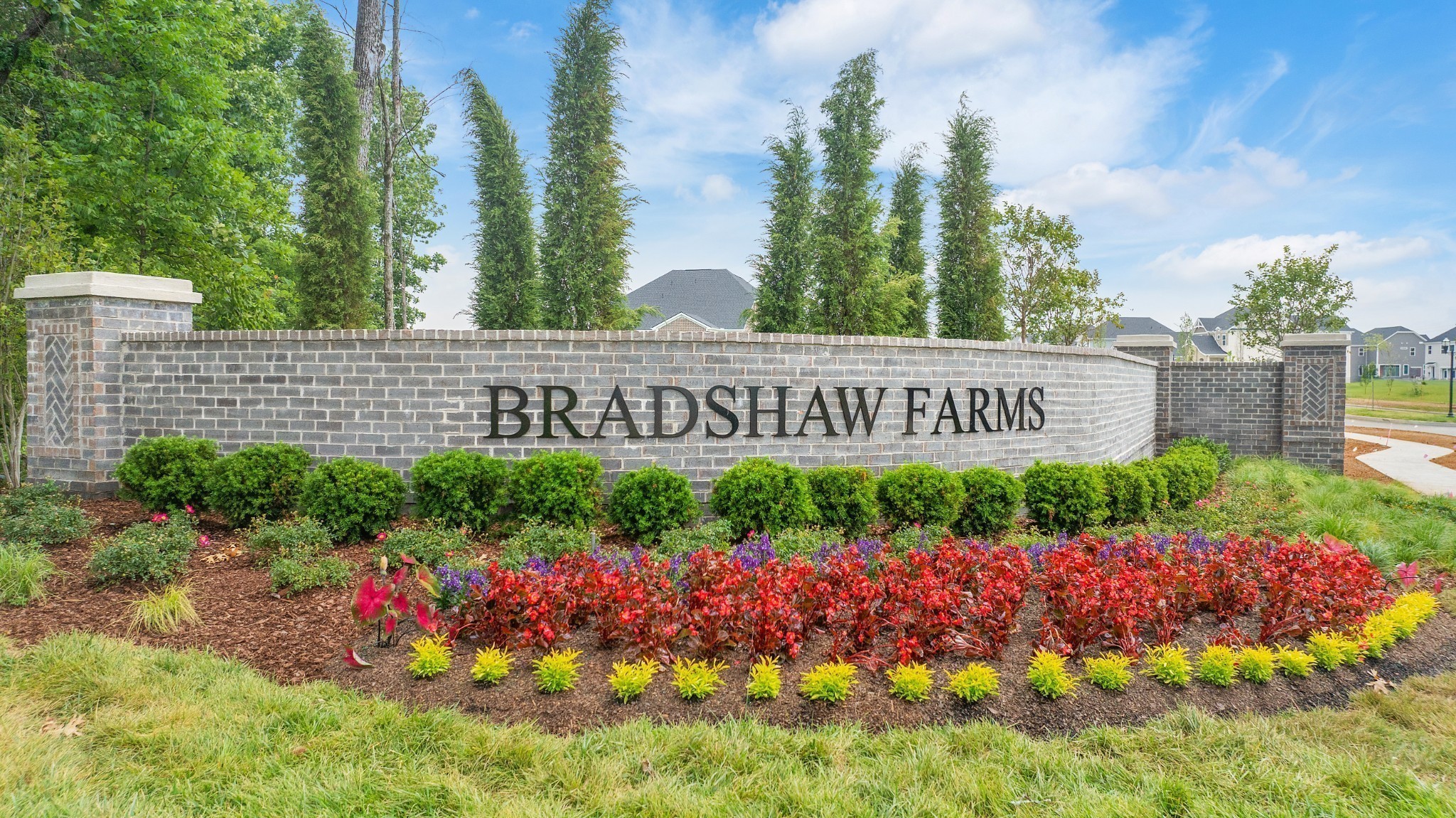 1104 Codah Drive
