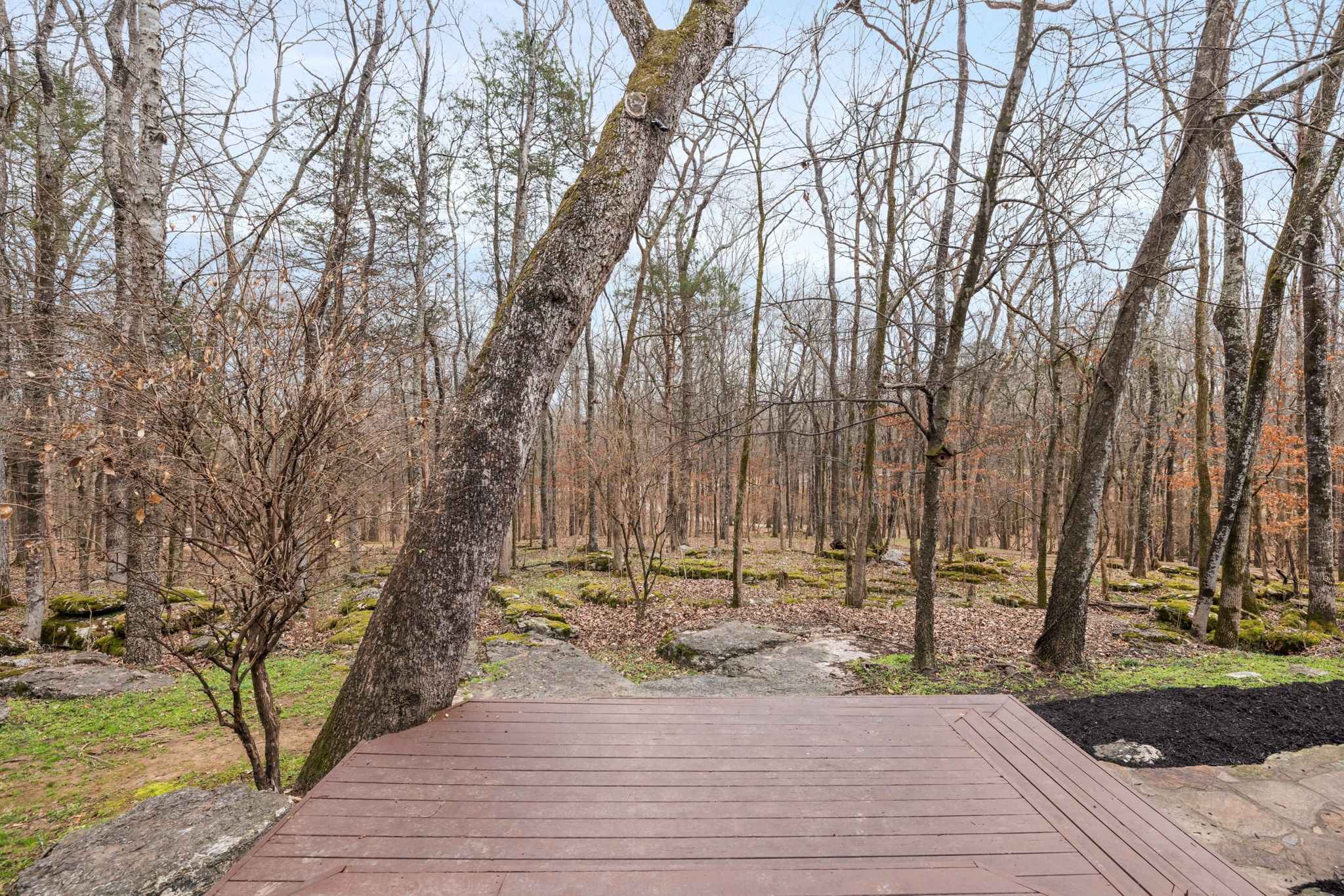 8575 Saundersville Rd