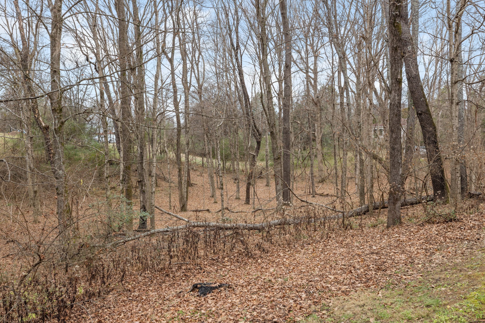 442 Lakeview Cir